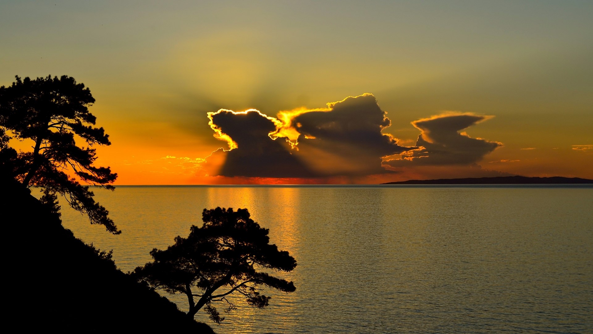 Sunset over the ocean with silhouetted trees HD Wallpaper