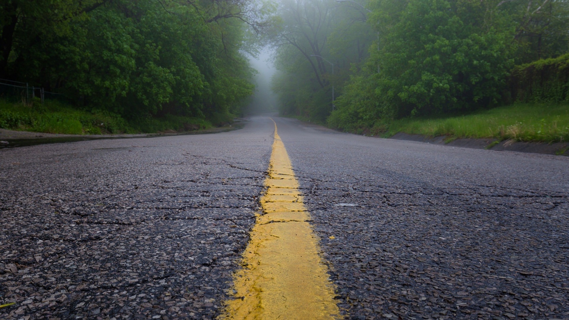 Road with yellow line in fog HD Wallpaper