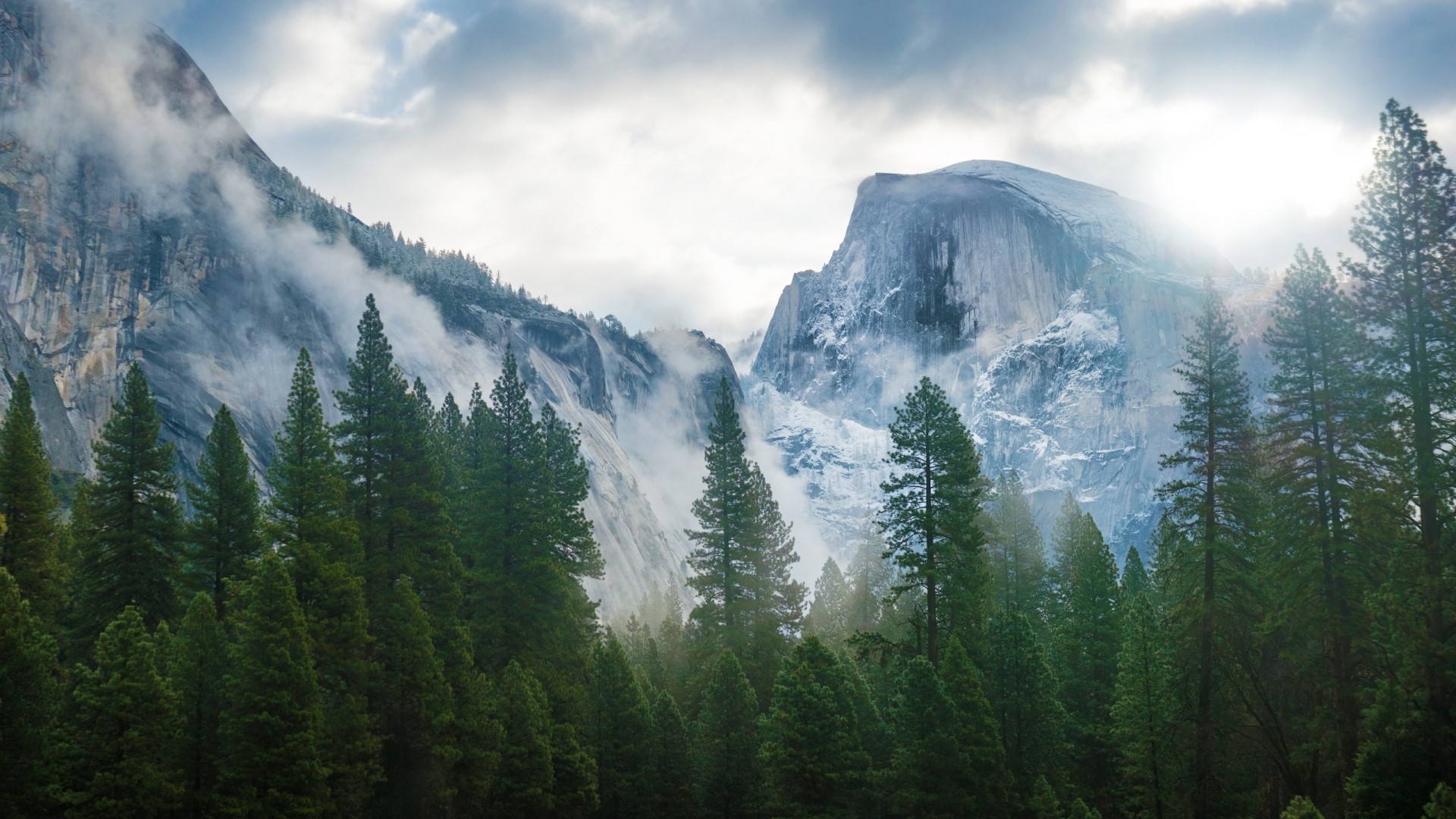 Misty Mountains and Forest HD Wallpaper