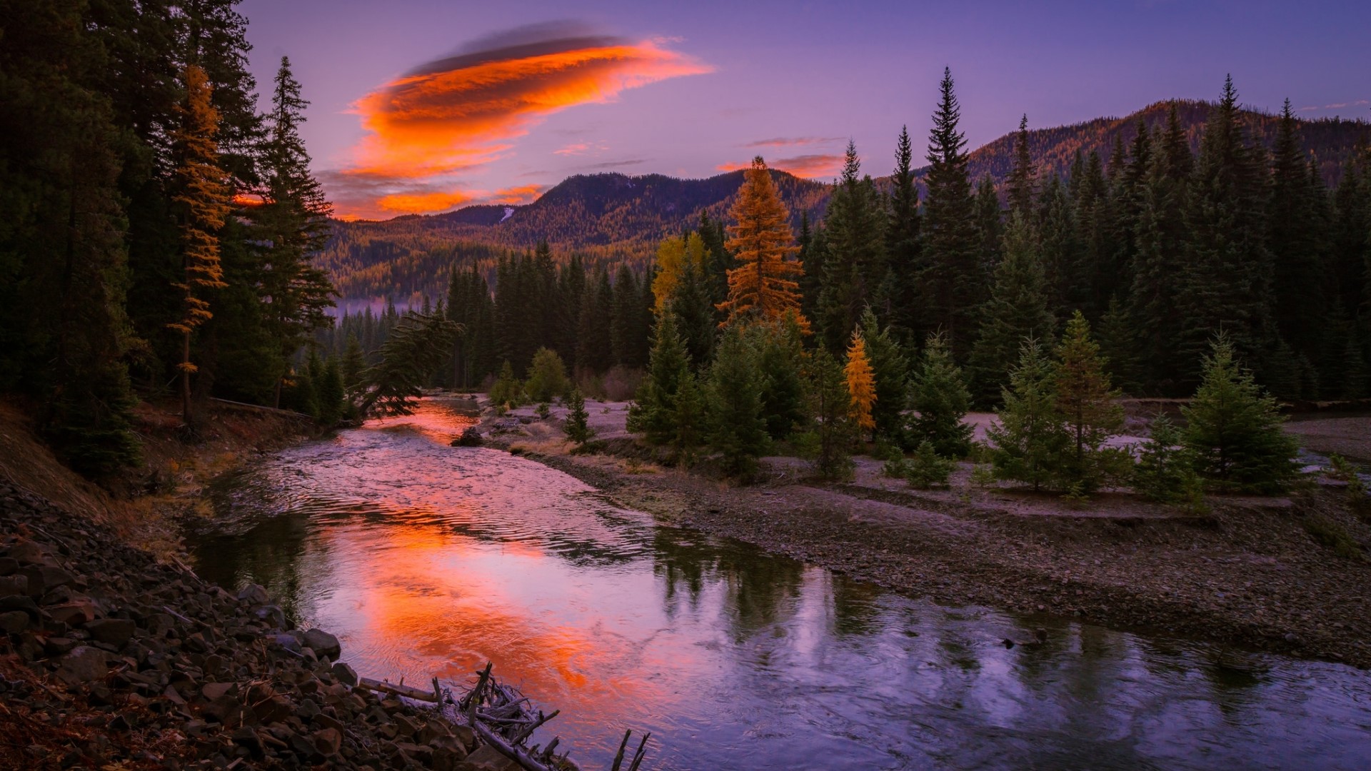 Sunset over a river and forest HD Wallpaper