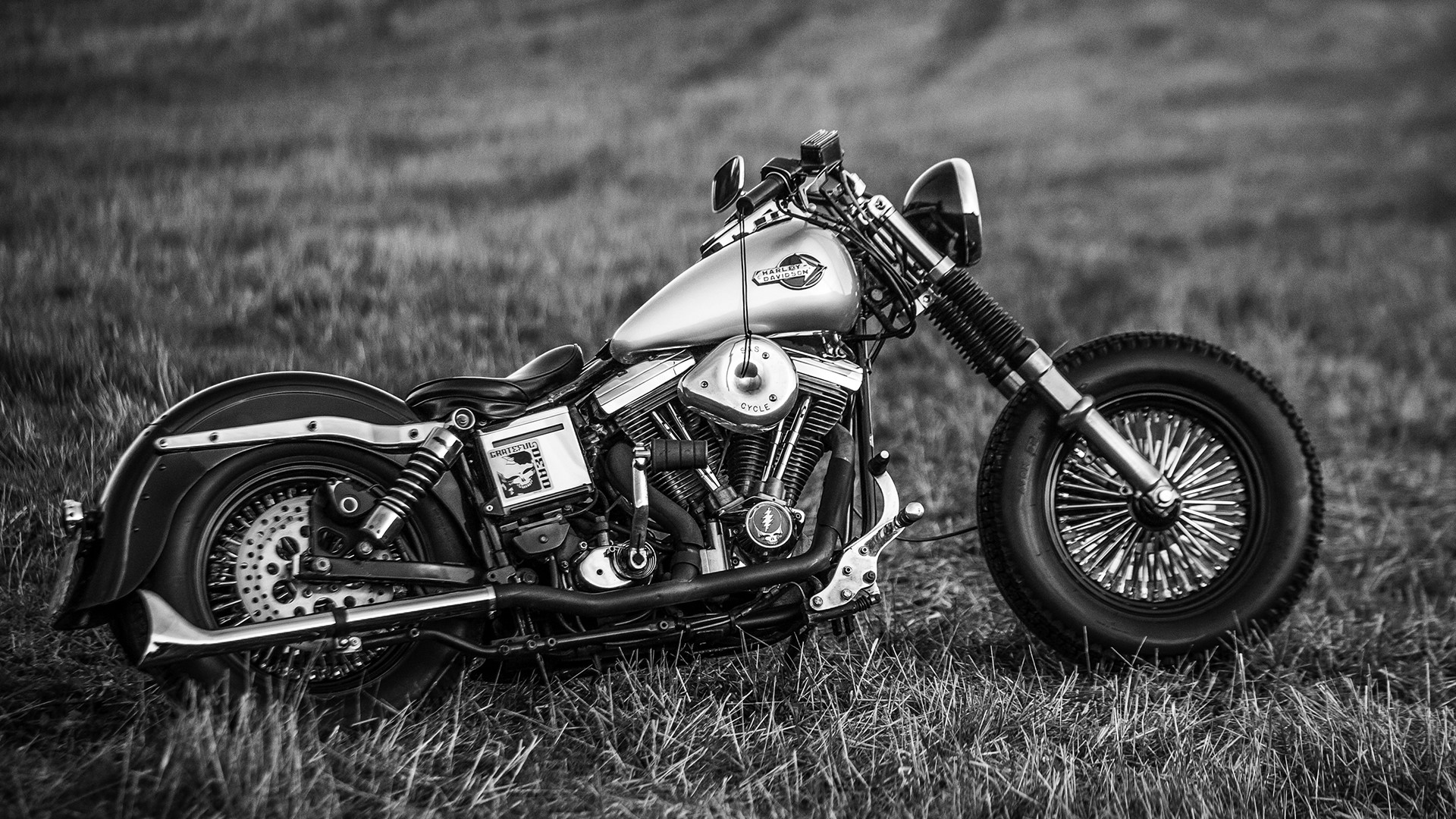 Harley Davidson motorcycle parked on grass HD Wallpaper