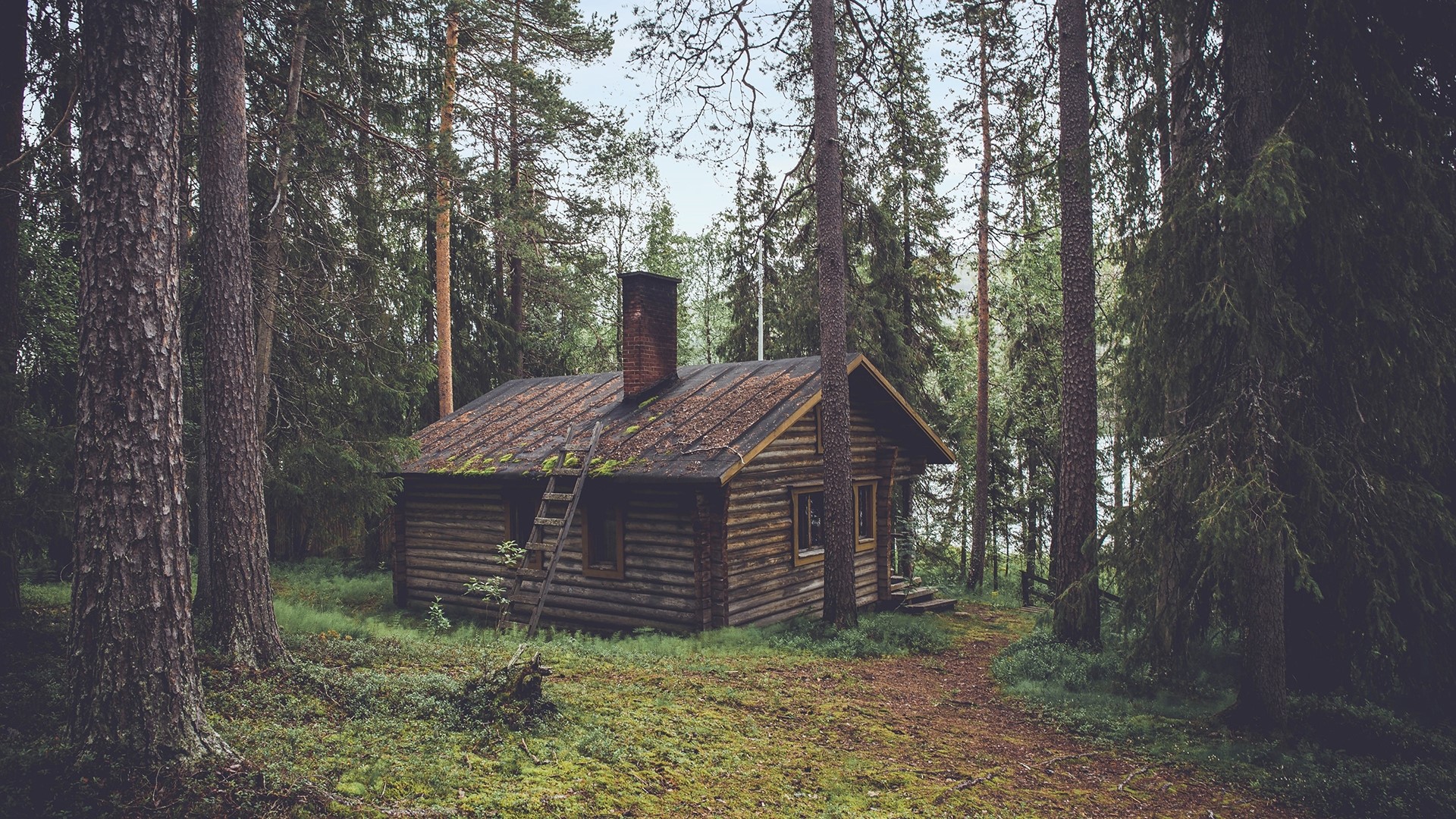 Wooden cabin in a forest HD Wallpaper