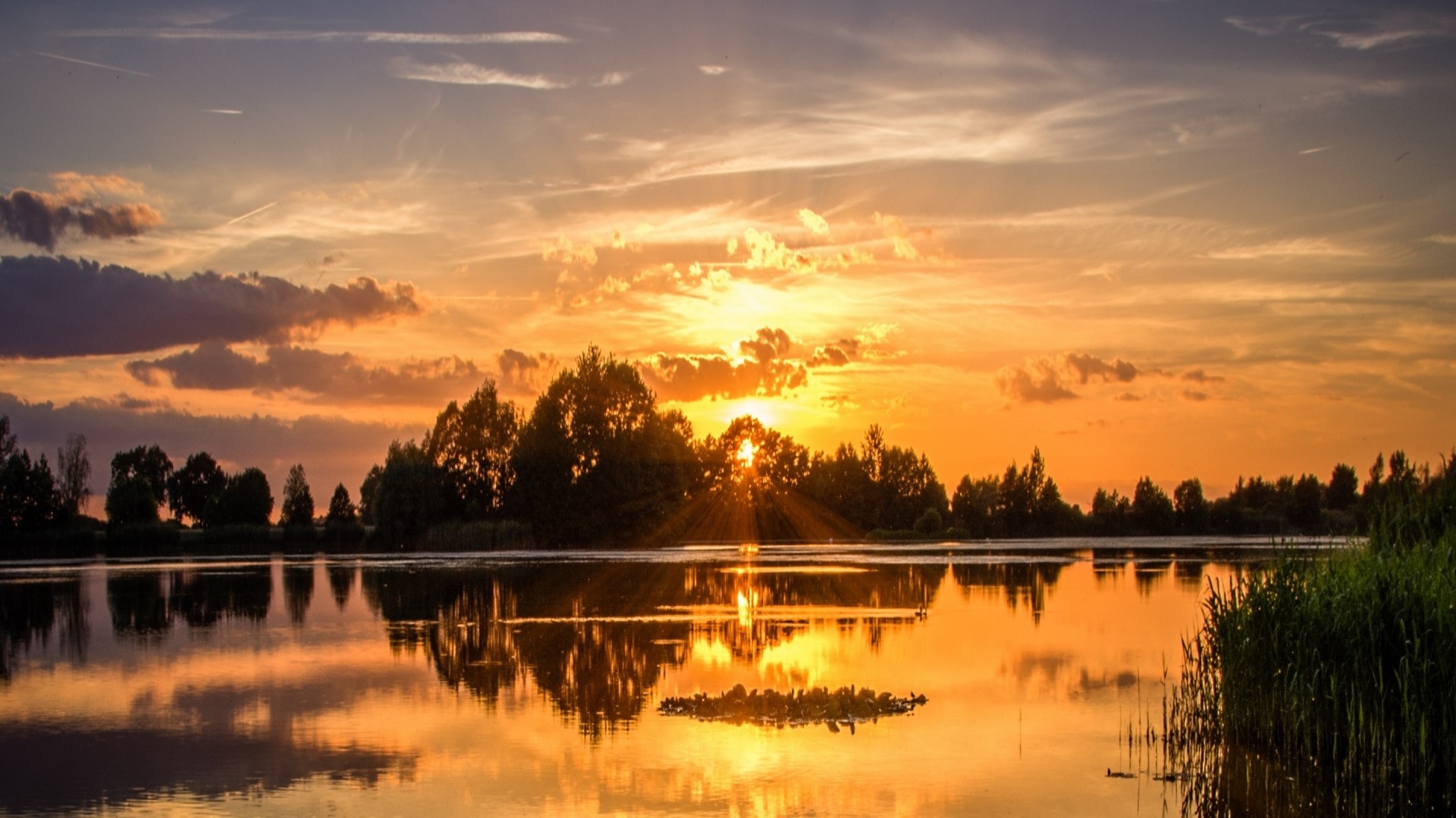Sunset over a lake with trees and reflections HD Wallpaper