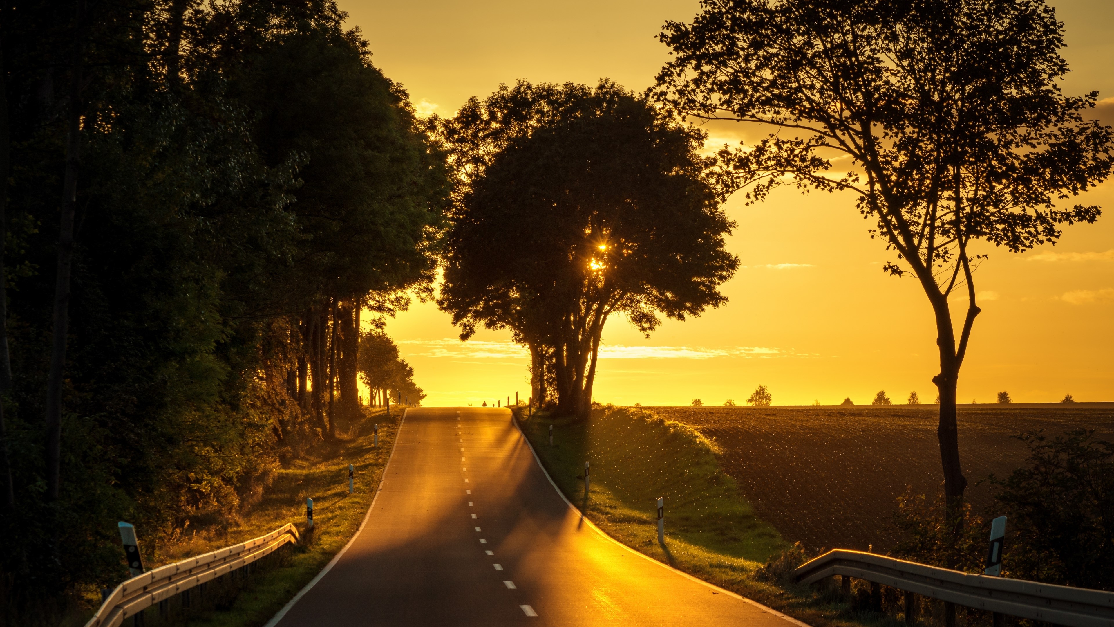 4K Road with Trees at Sunset HD Wallpaper