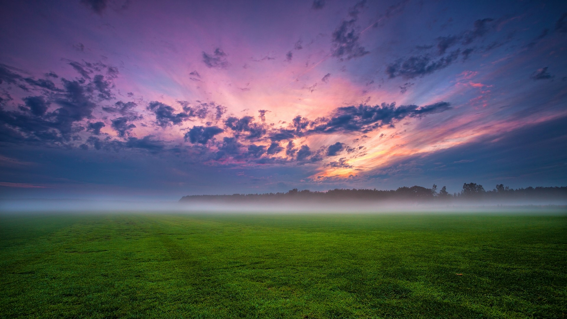 Misty Field at Sunrise HD Wallpaper