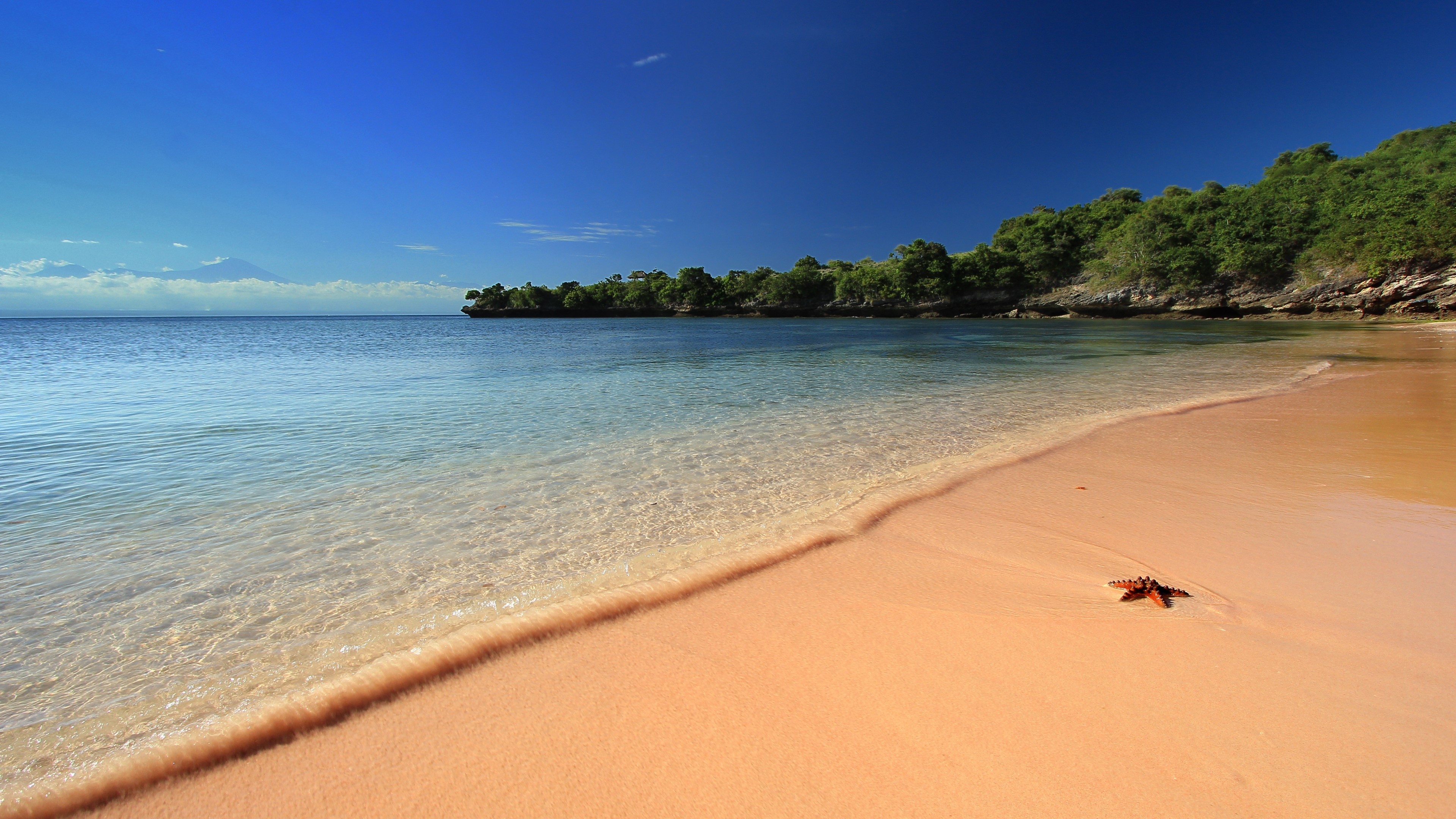 4K Beach with Starfish HD Wallpaper