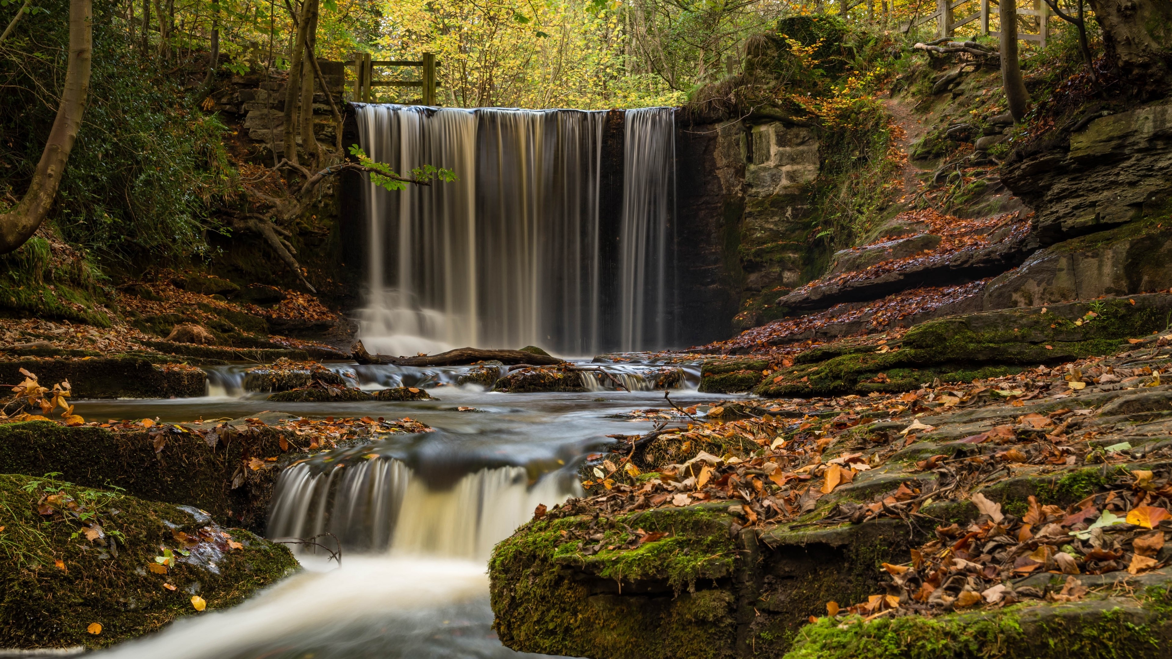4K Waterfall in Autumn Forest HD Wallpaper