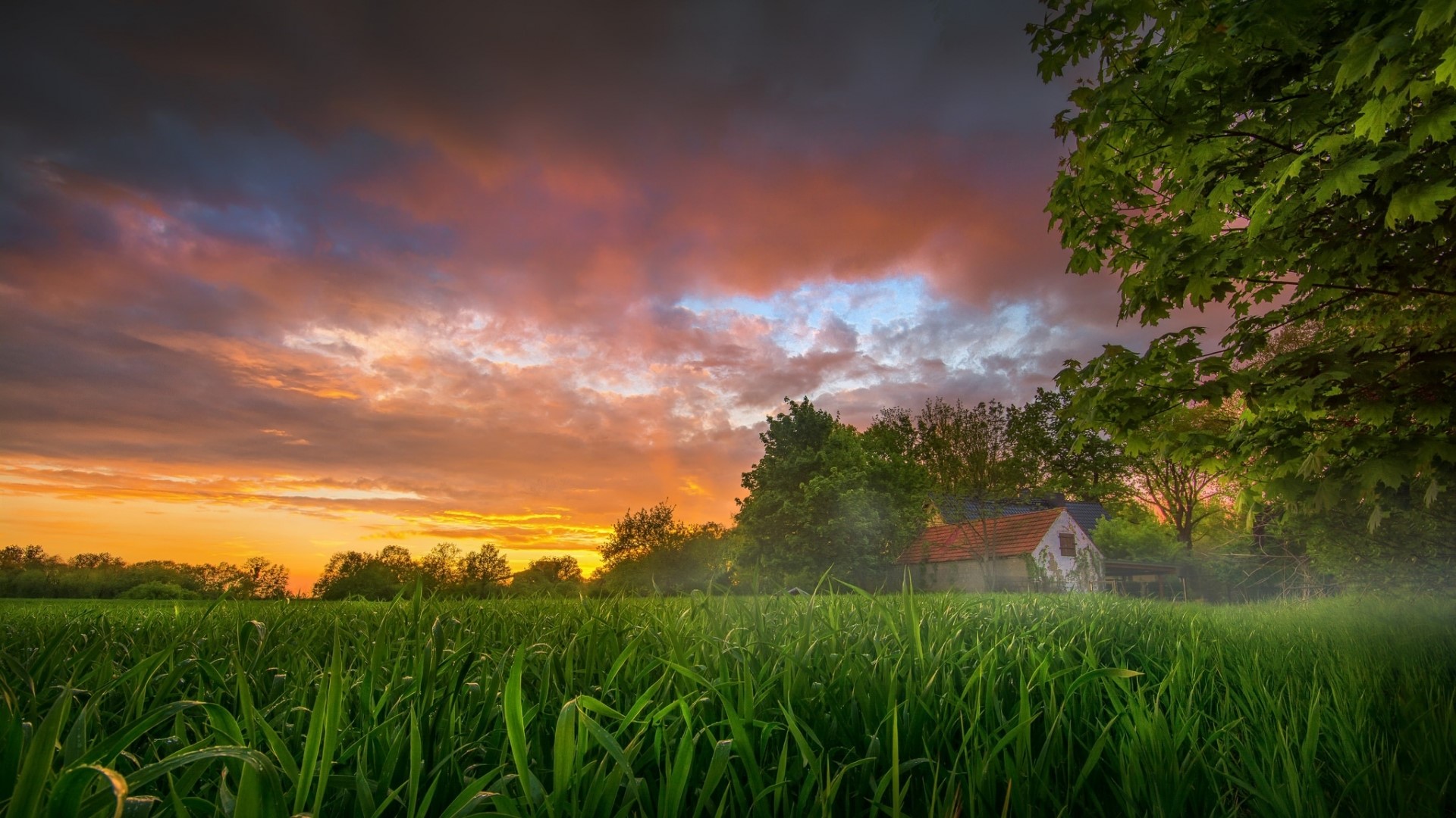Sunrise over a field with a small house HD Wallpaper