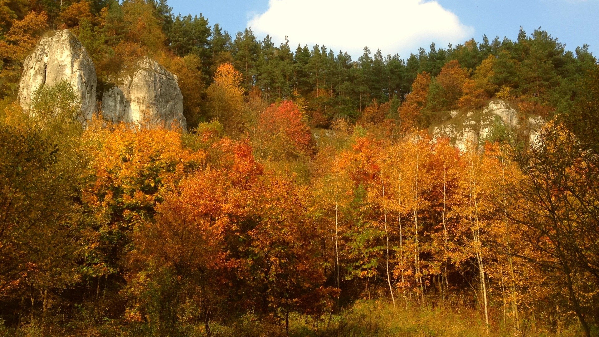 Autumn forest with rocky outcrops HD Wallpaper