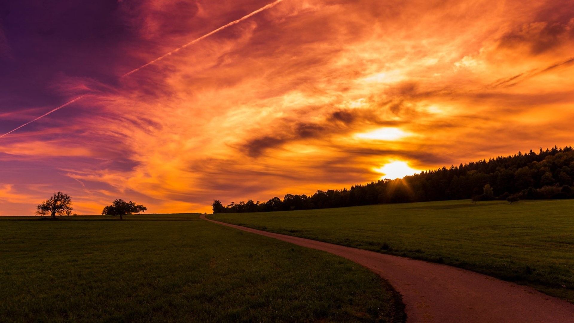 Sunset over a field with trees and a forest HD Wallpaper