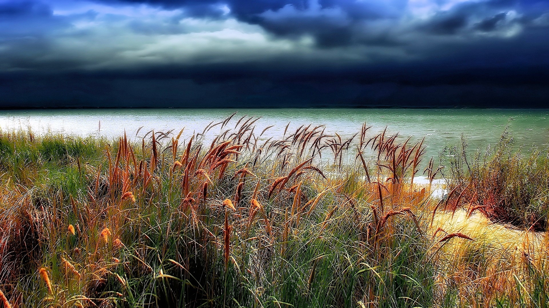 Tall grass by the water under stormy skies HD Wallpaper