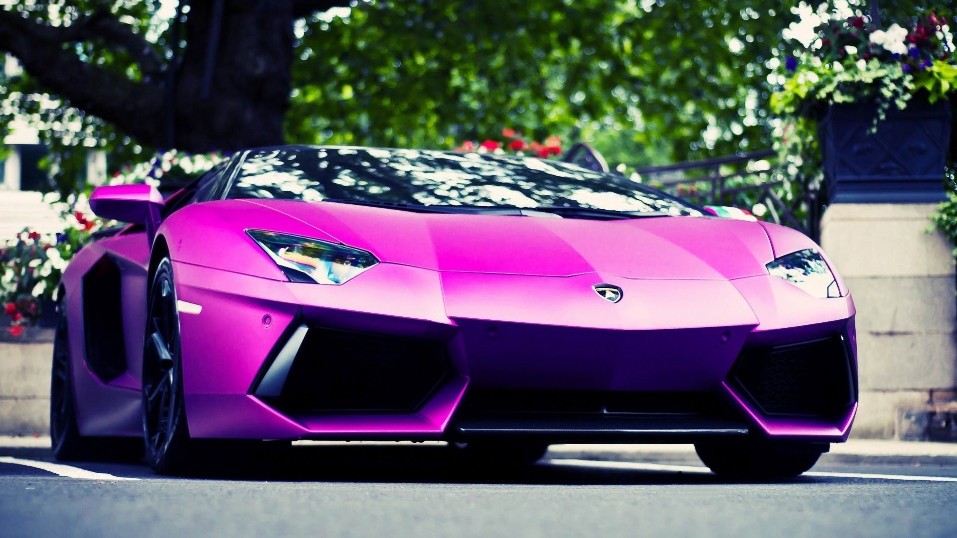 Pink Lamborghini Aventador parked outdoors HD Wallpaper