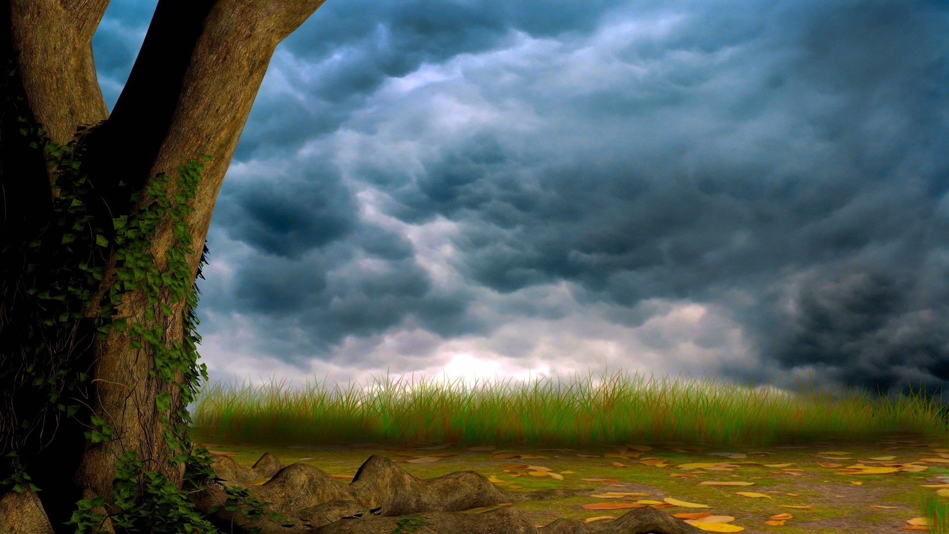 Tree trunk with ivy against stormy sky HD Wallpaper