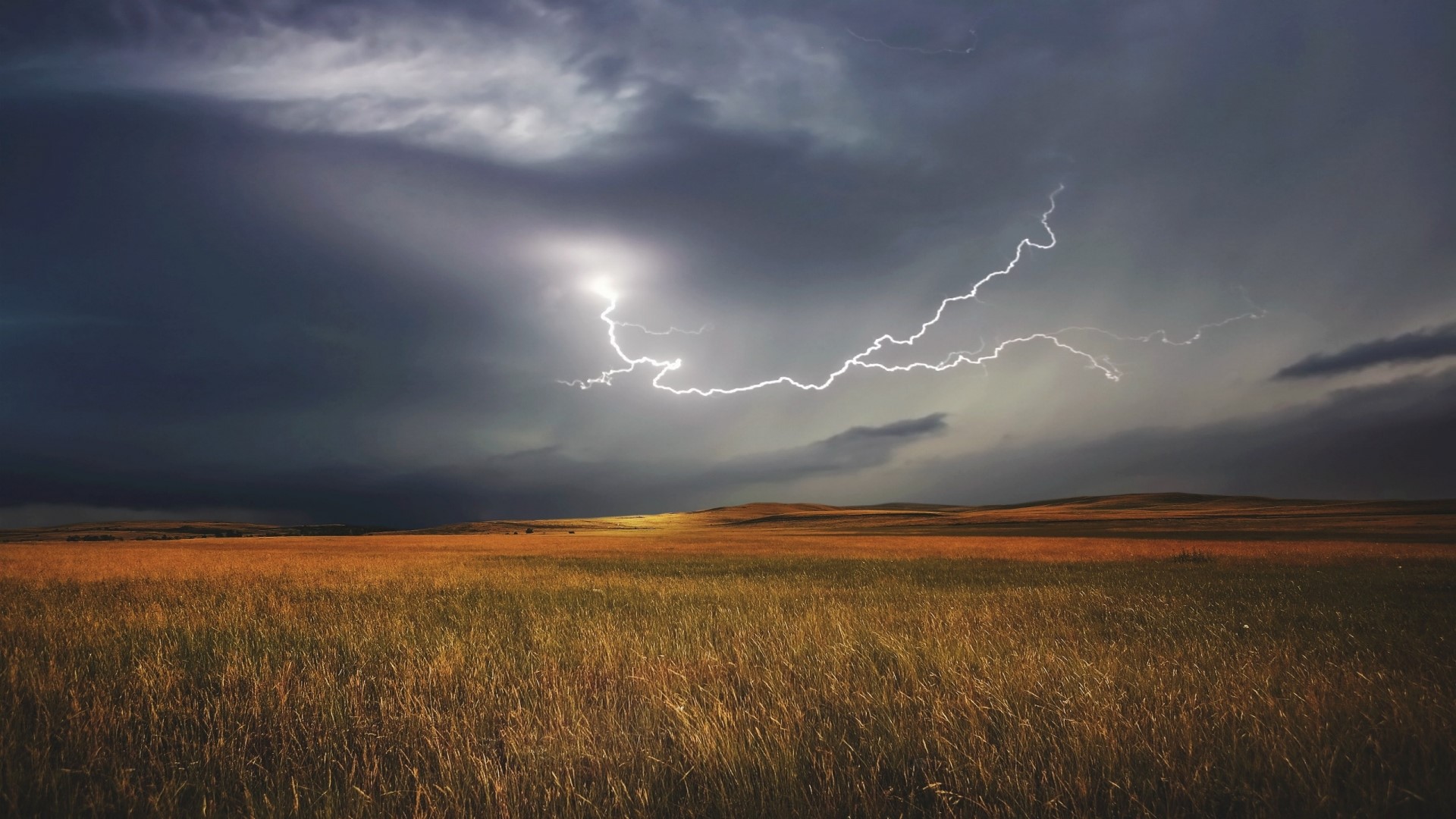 Lightning strikes over a golden field under a stormy sky HD Wallpaper