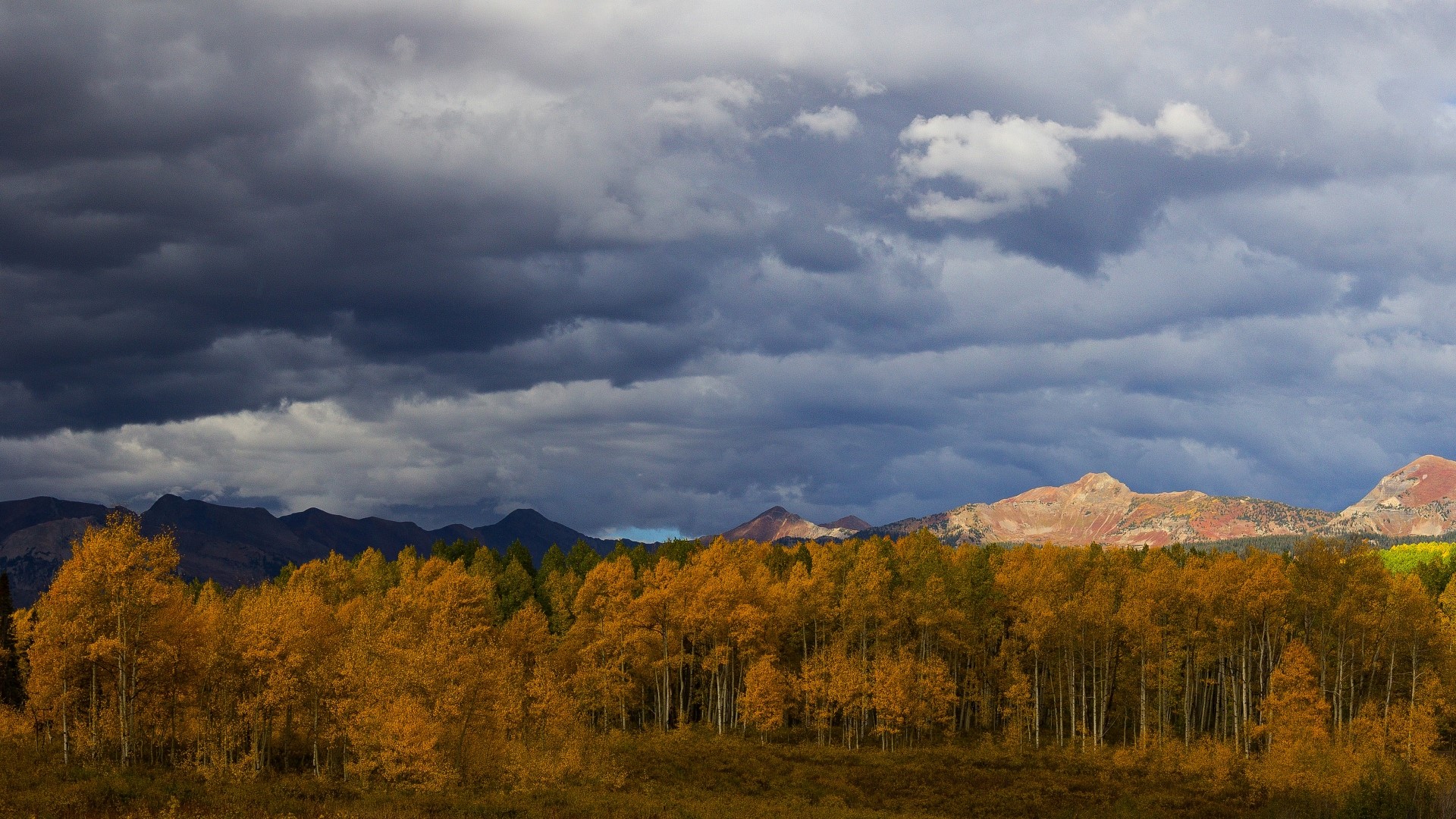 Autumn forest with mountains and stormy clouds HD Wallpaper