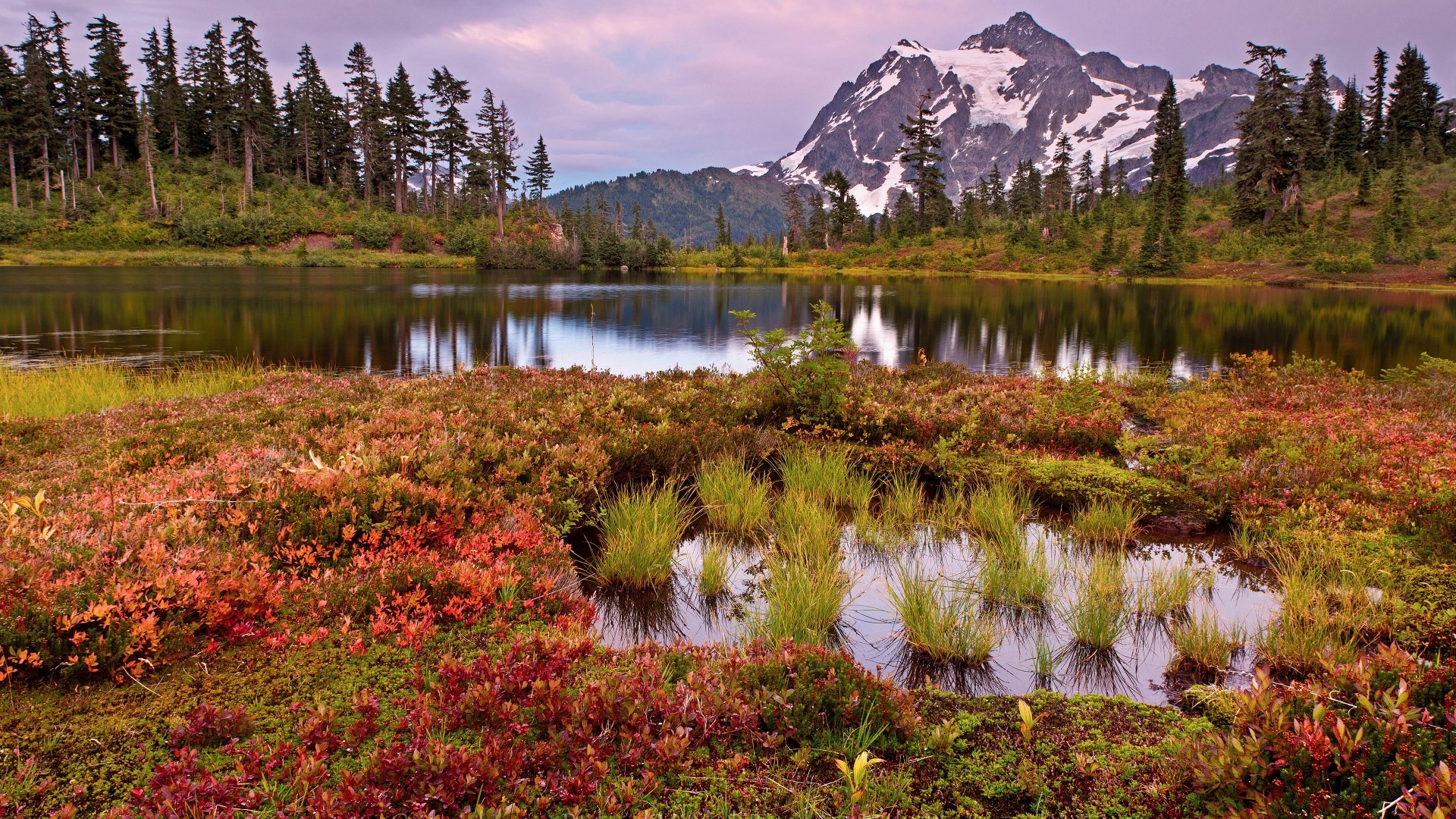 Mountain Lake with Autumn Foliage HD Wallpaper