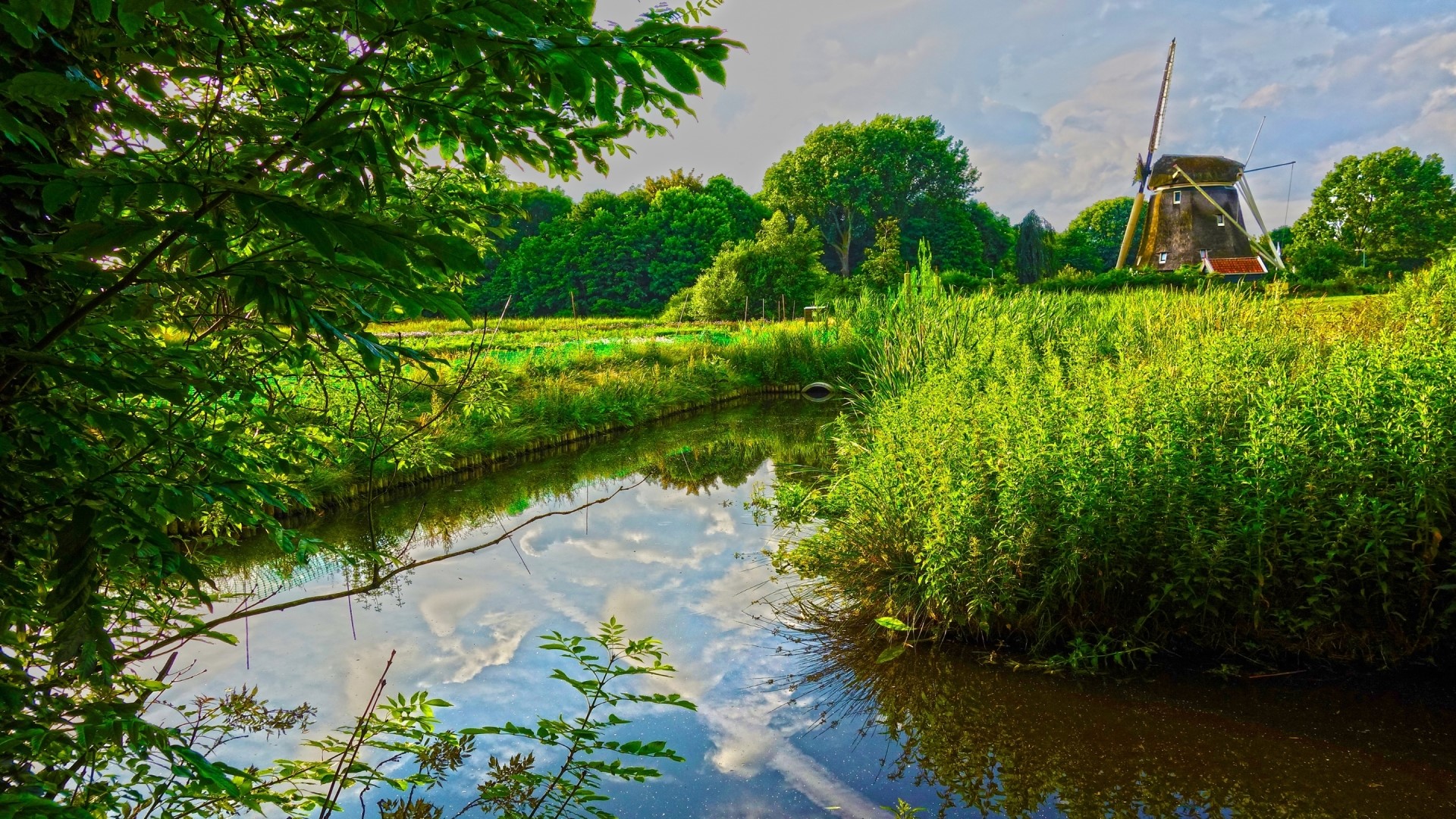 Windmill by a canal in a green landscape HD Wallpaper