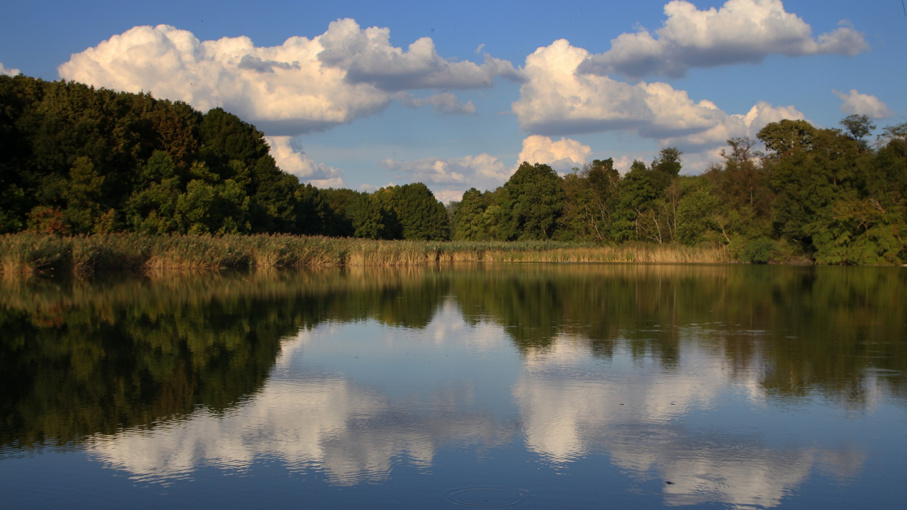 4K Lake with Trees and Clouds HD Wallpaper