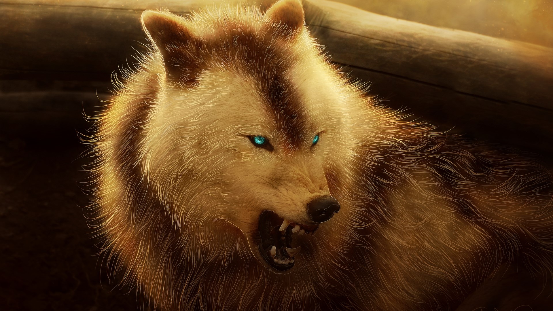Wolf with glowing blue eyes HD Wallpaper