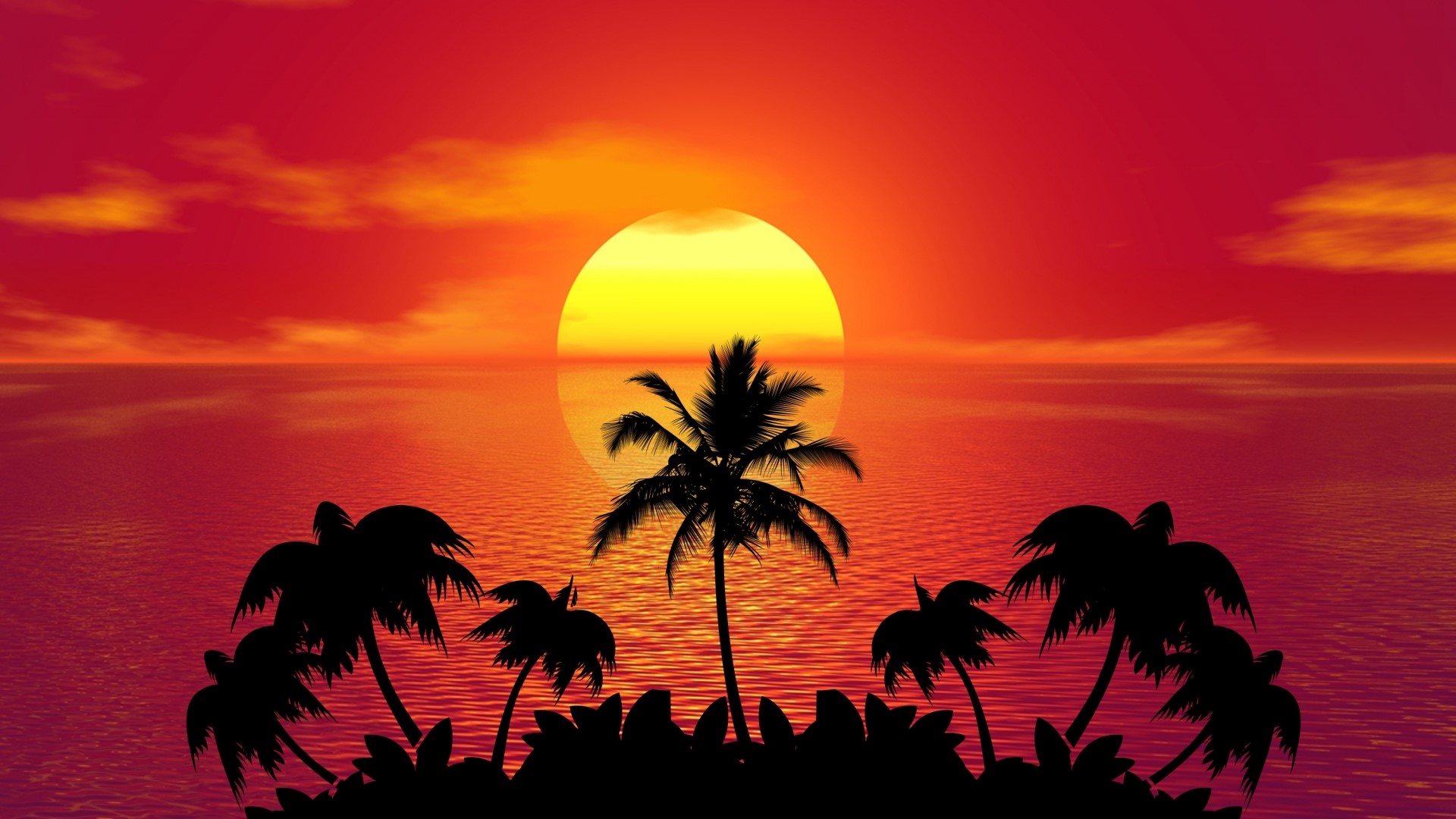 Sunset over the ocean with palm trees HD Wallpaper