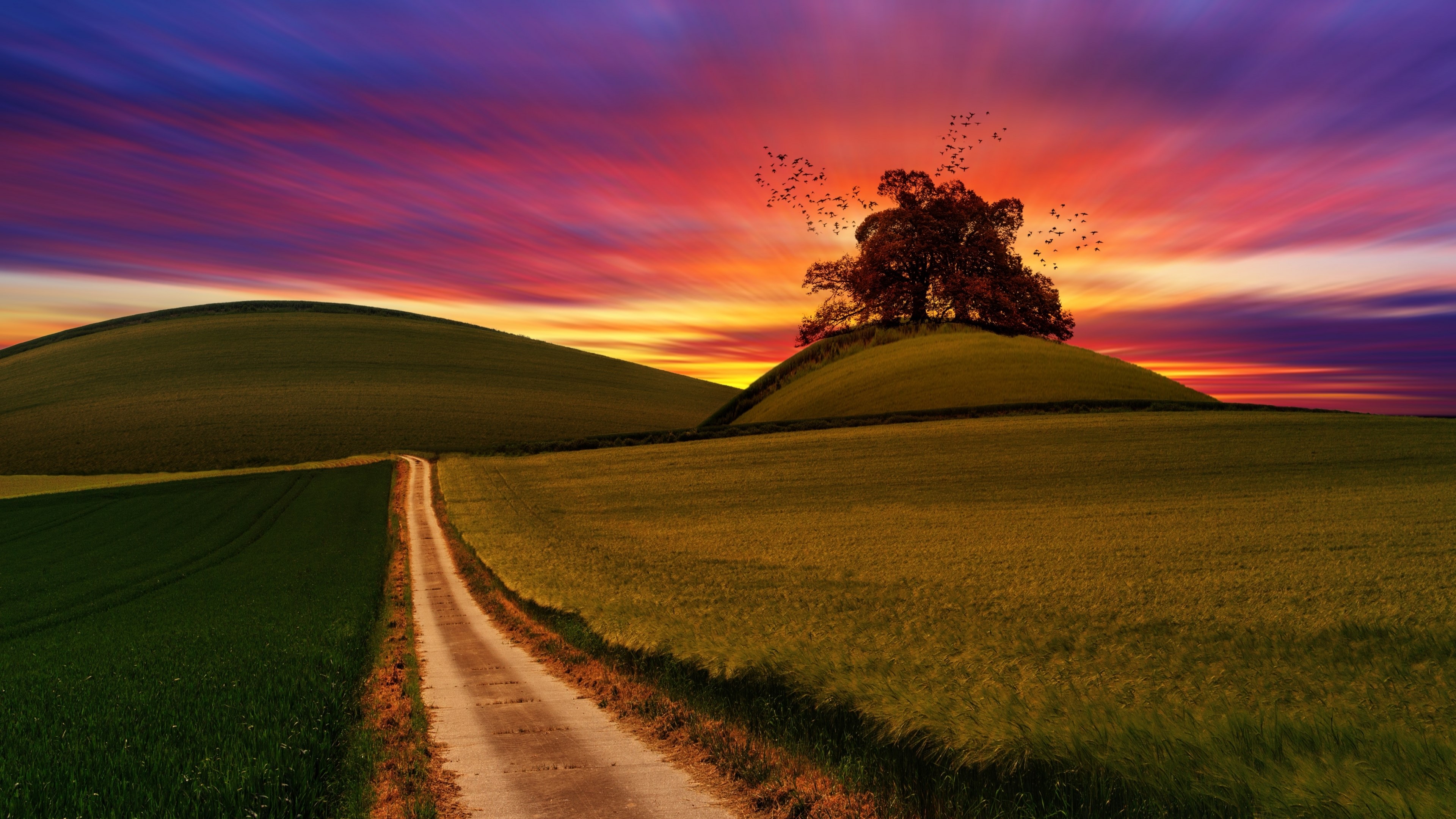 4K Sunset Over Rolling Hills with Tree and Birds HD Wallpaper