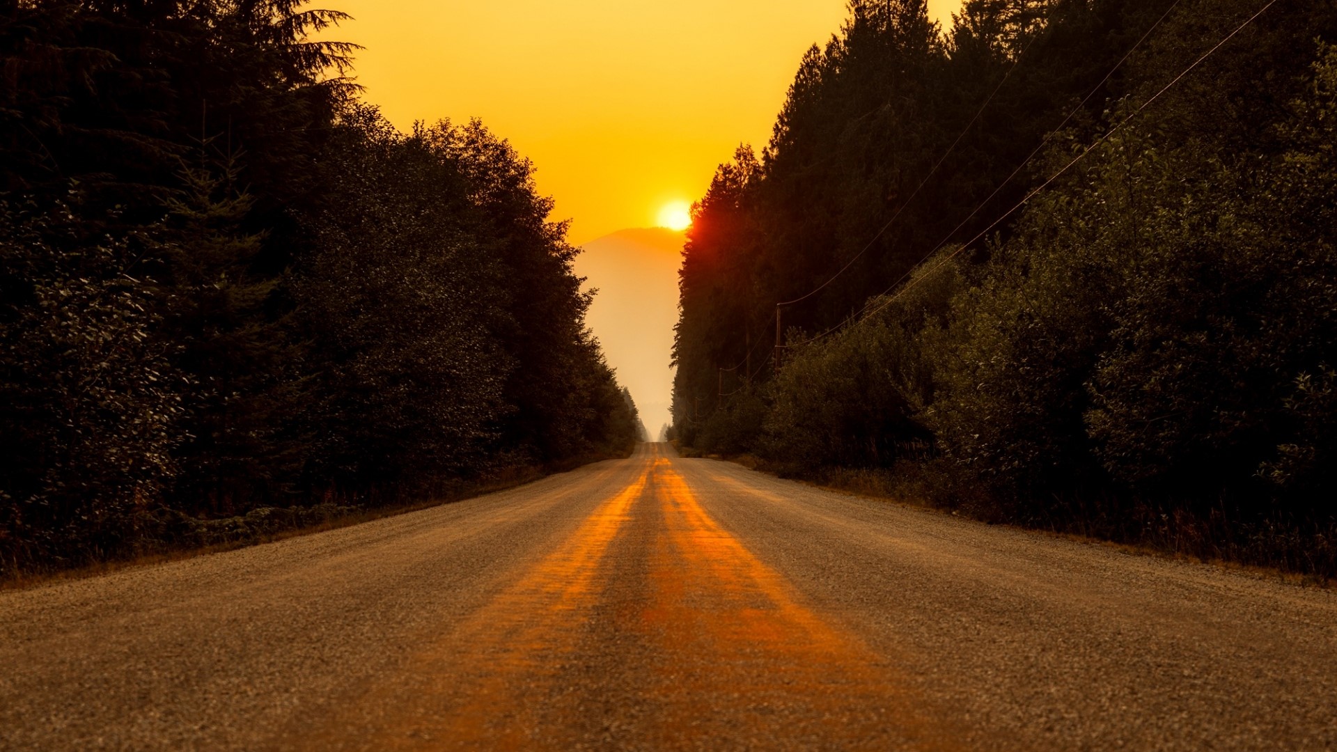 Gravel road through forest at sunset HD Wallpaper