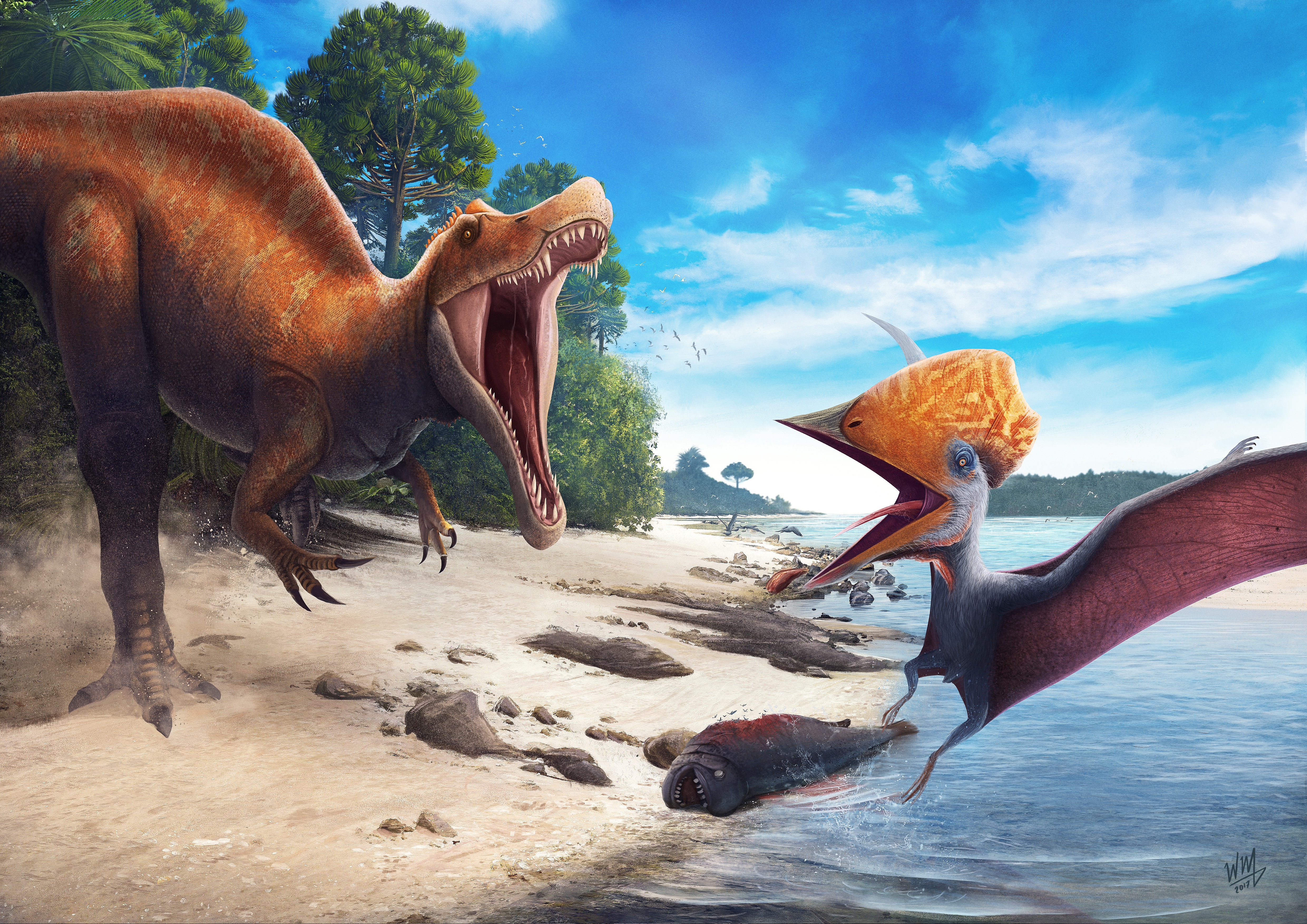 Tupuxuara, Angaturama, Competition, Northeast, Dinosaurs, 4K HD Wallpaper