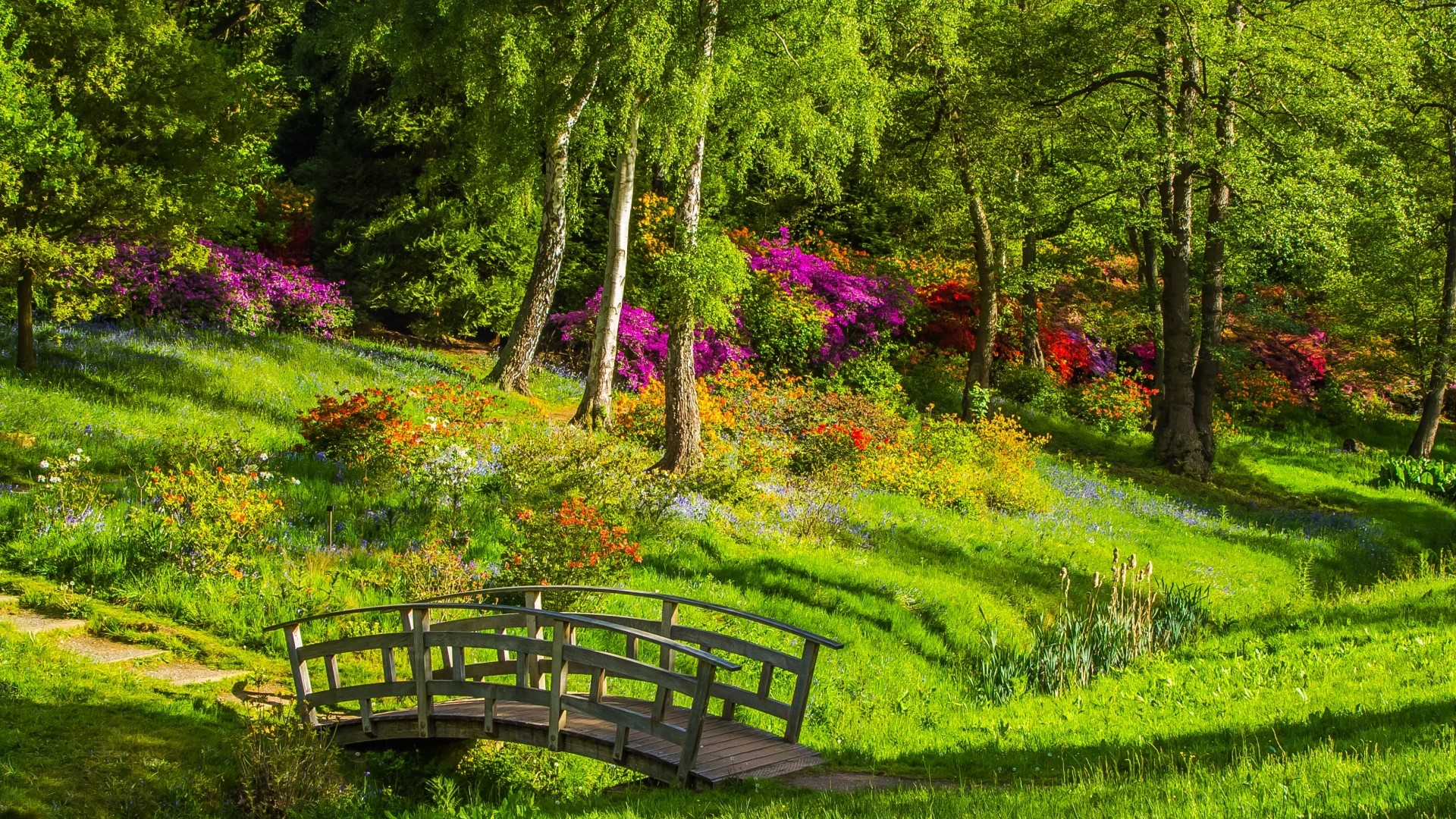 Wooden bridge in a park with colorful flowers and trees HD Wallpaper