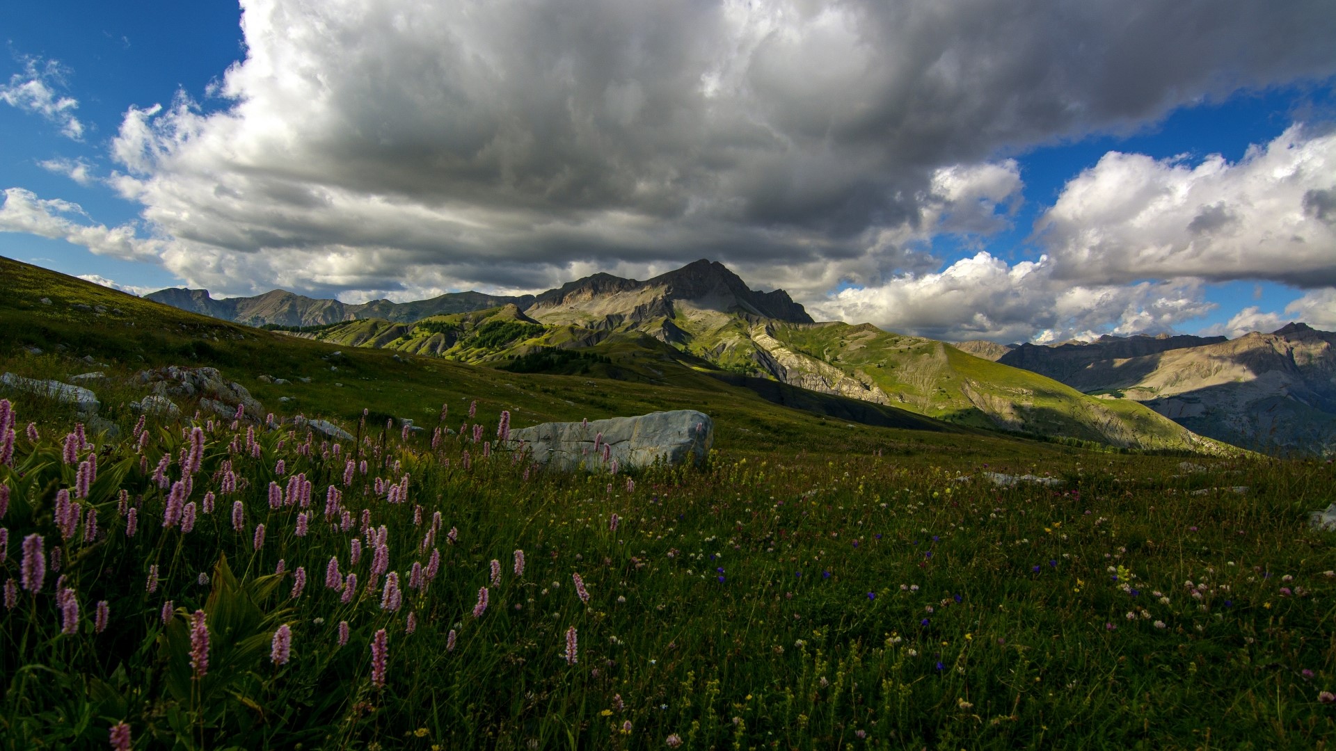 Mountain landscape with wildflowers and clouds HD Wallpaper