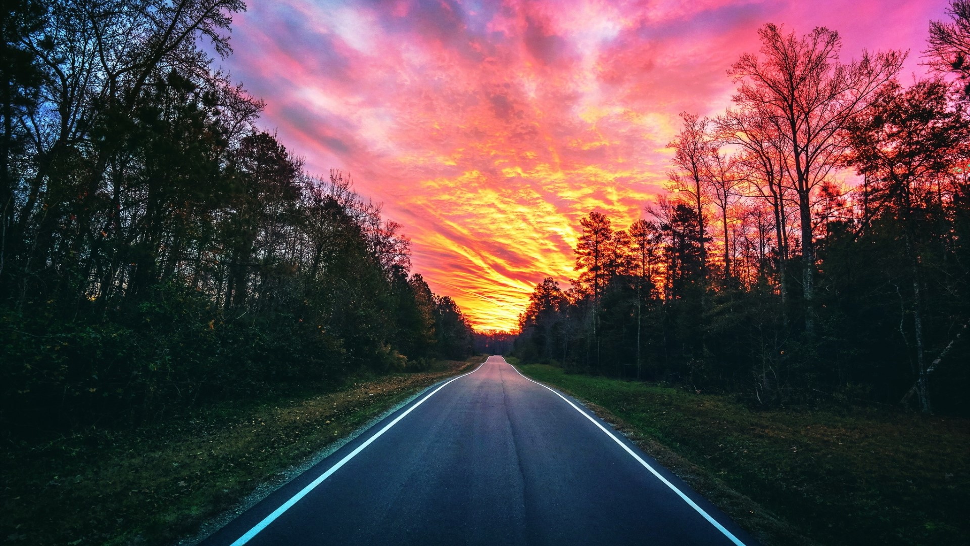Road through forest at sunset HD Wallpaper
