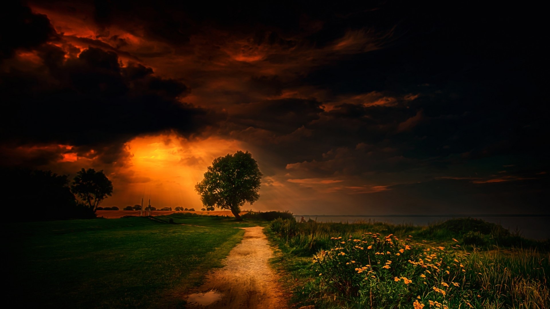 Dramatic sunset over a field with a path HD Wallpaper