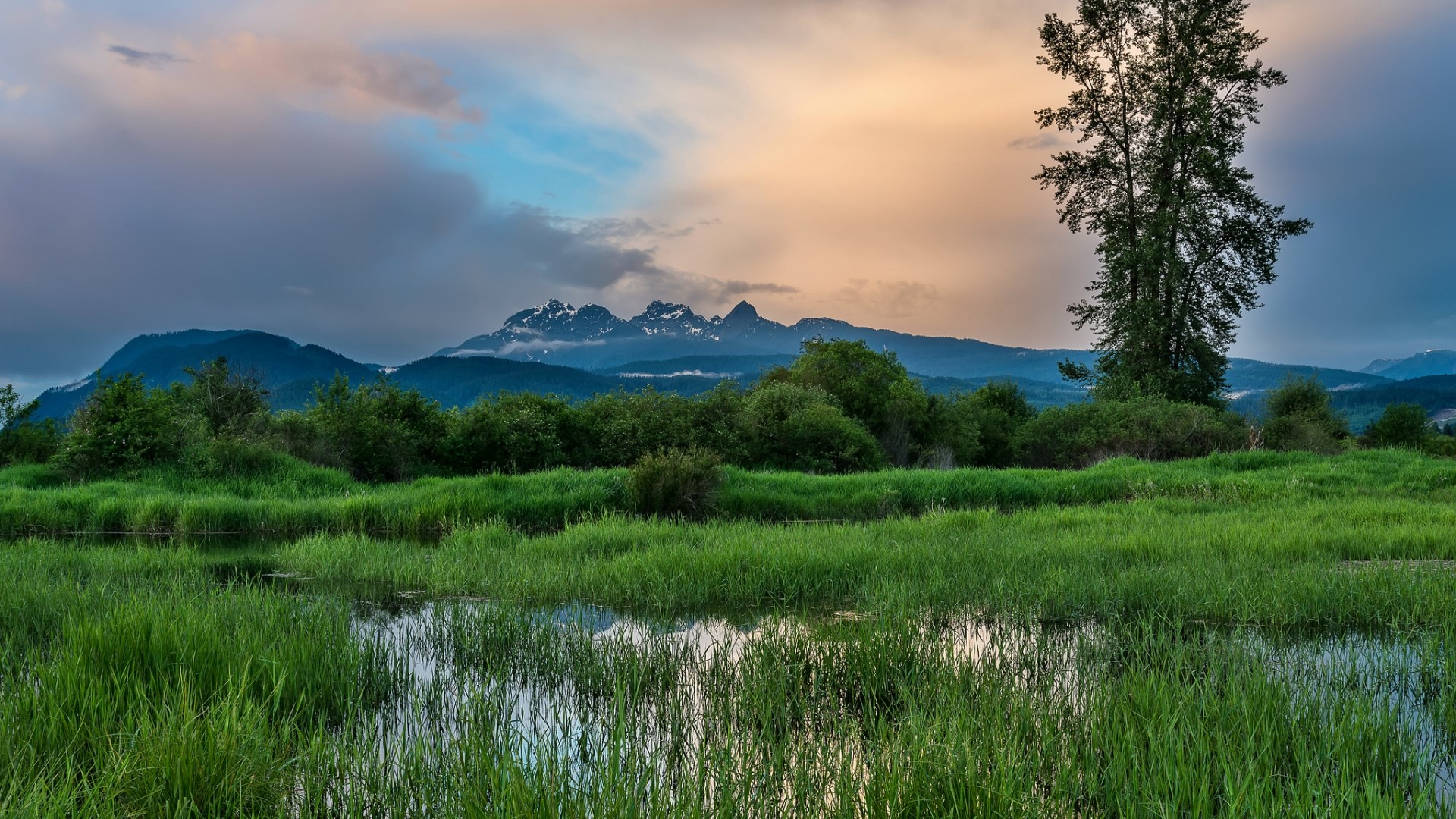 Mountains and marshland at sunset HD Wallpaper