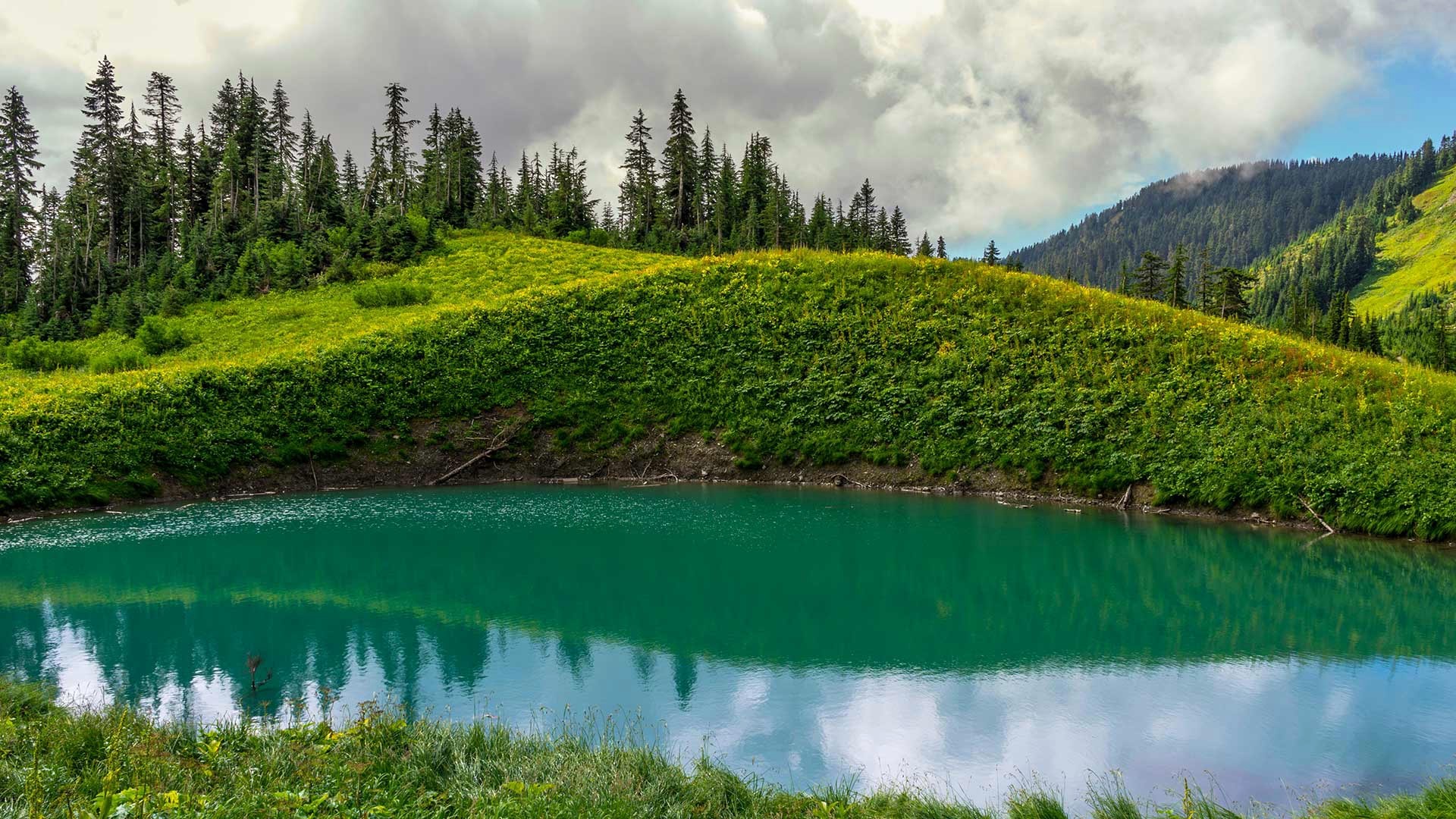 Turquoise mountain lake surrounded by green hills and pine trees HD Wallpaper
