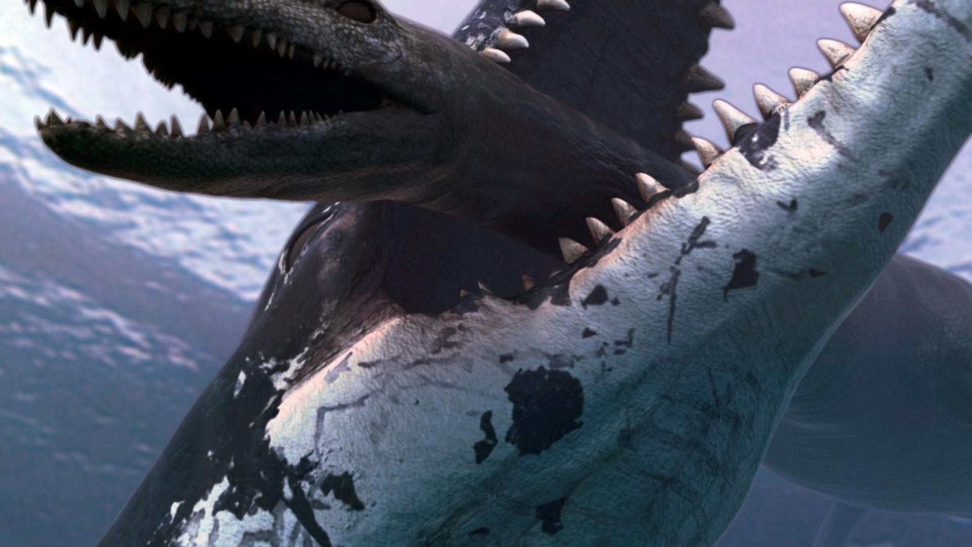 Megalodon attacking another shark HD Wallpaper