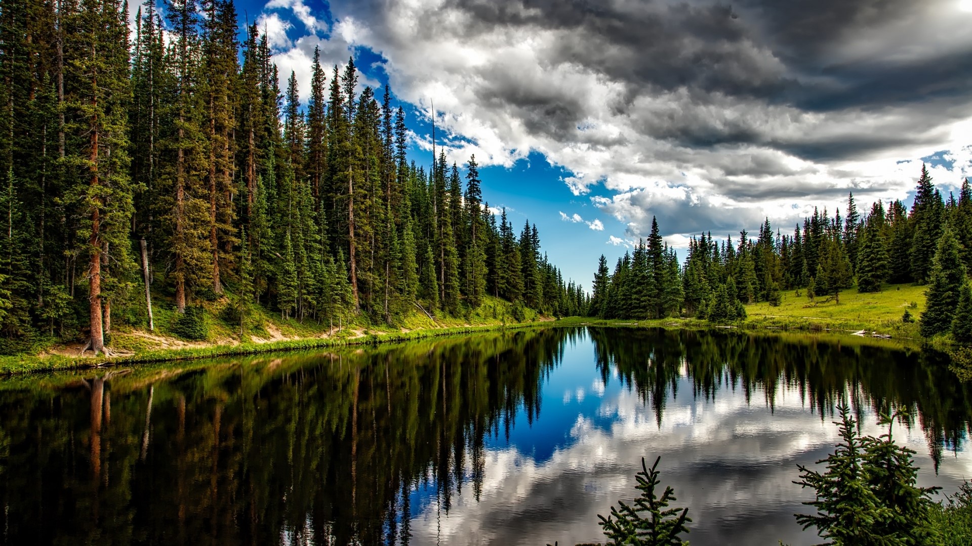 Lake reflecting pine forest and cloudy sky HD Wallpaper