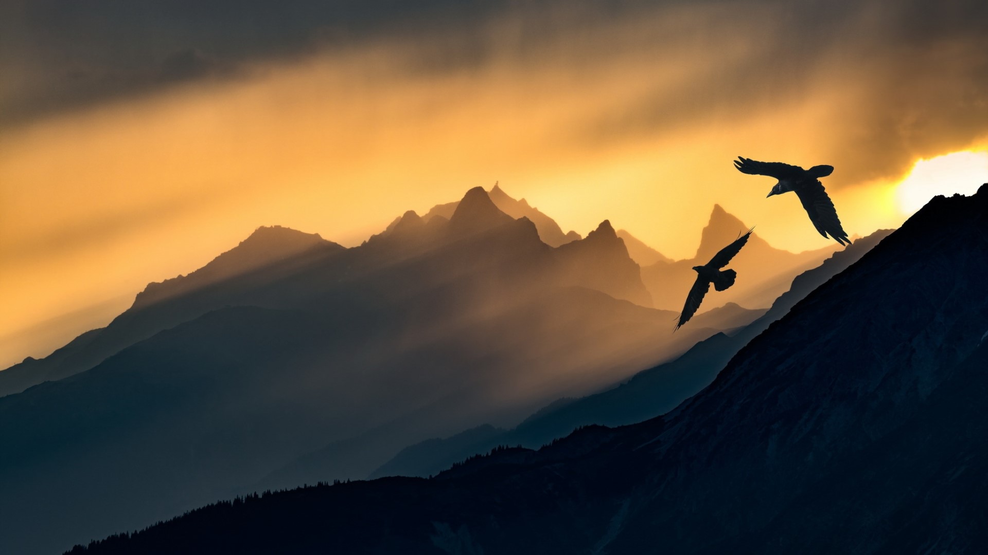 Birds flying over mountains at sunset HD Wallpaper