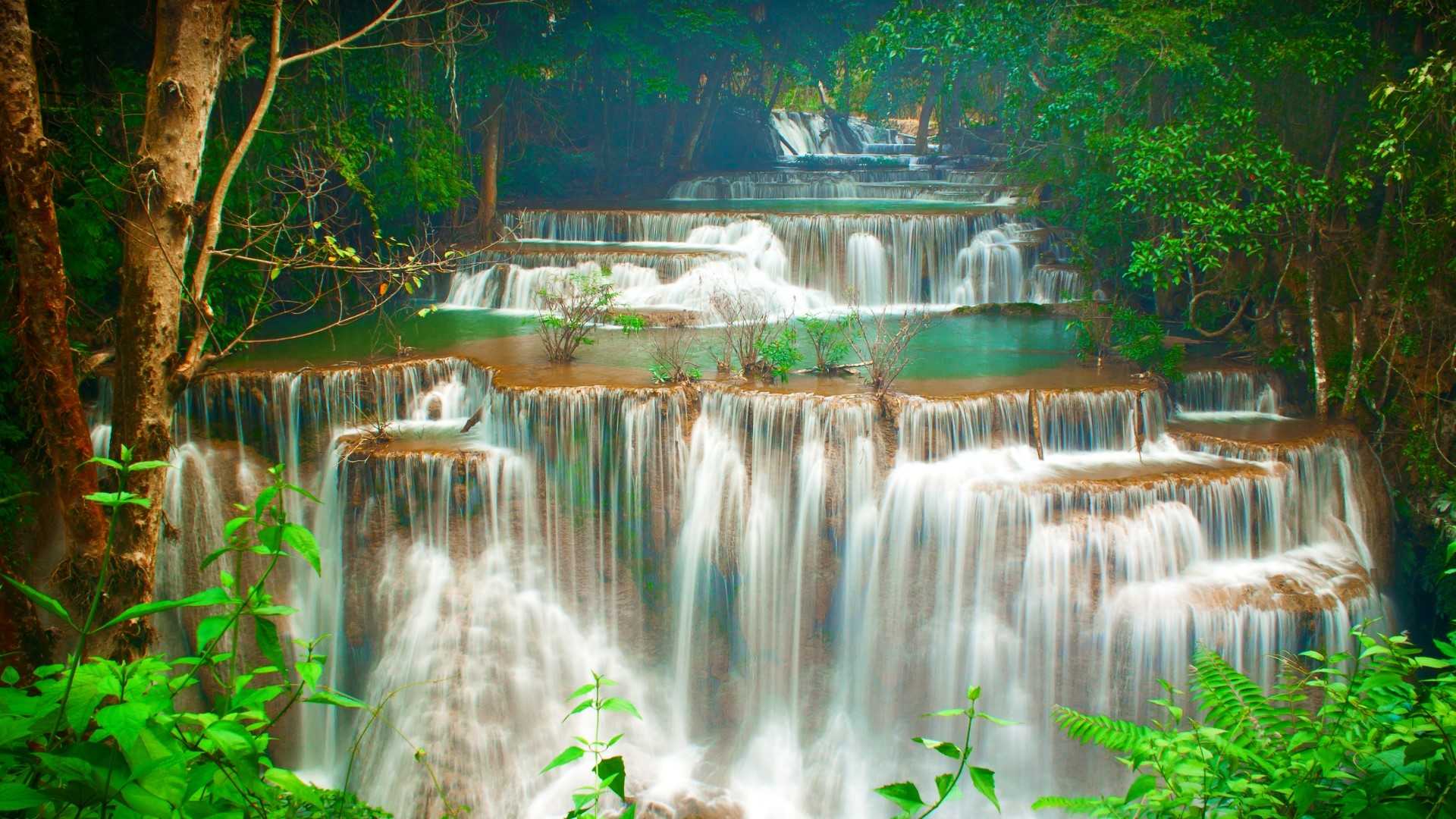 Tiered waterfall in a lush green forest HD Wallpaper
