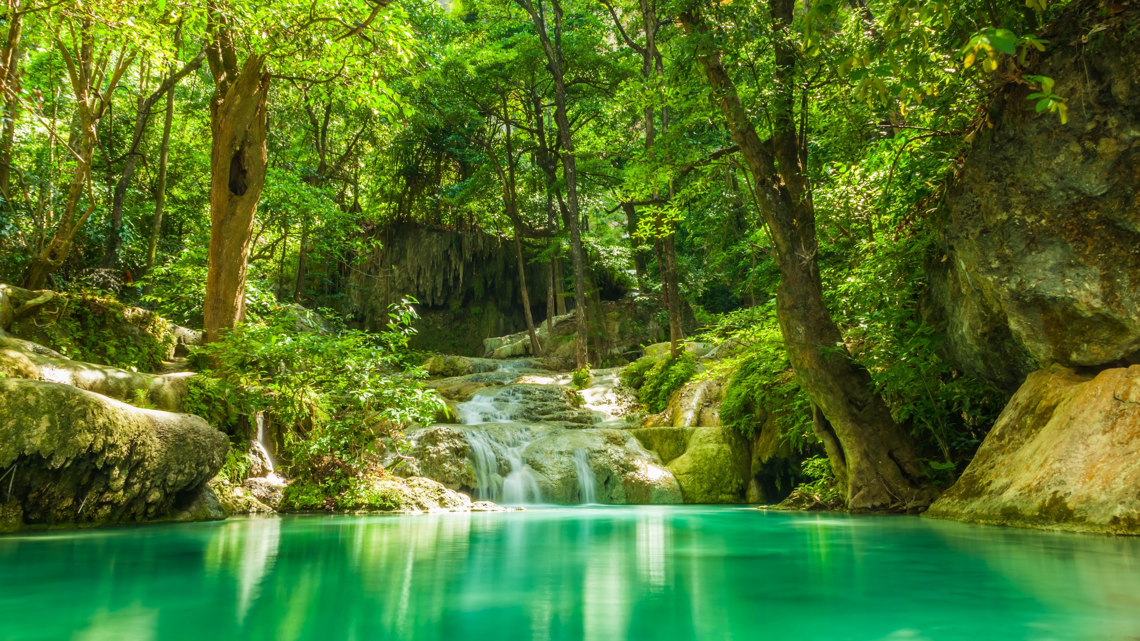 4K Tropics Waterfall in Lush Forest HD Wallpaper