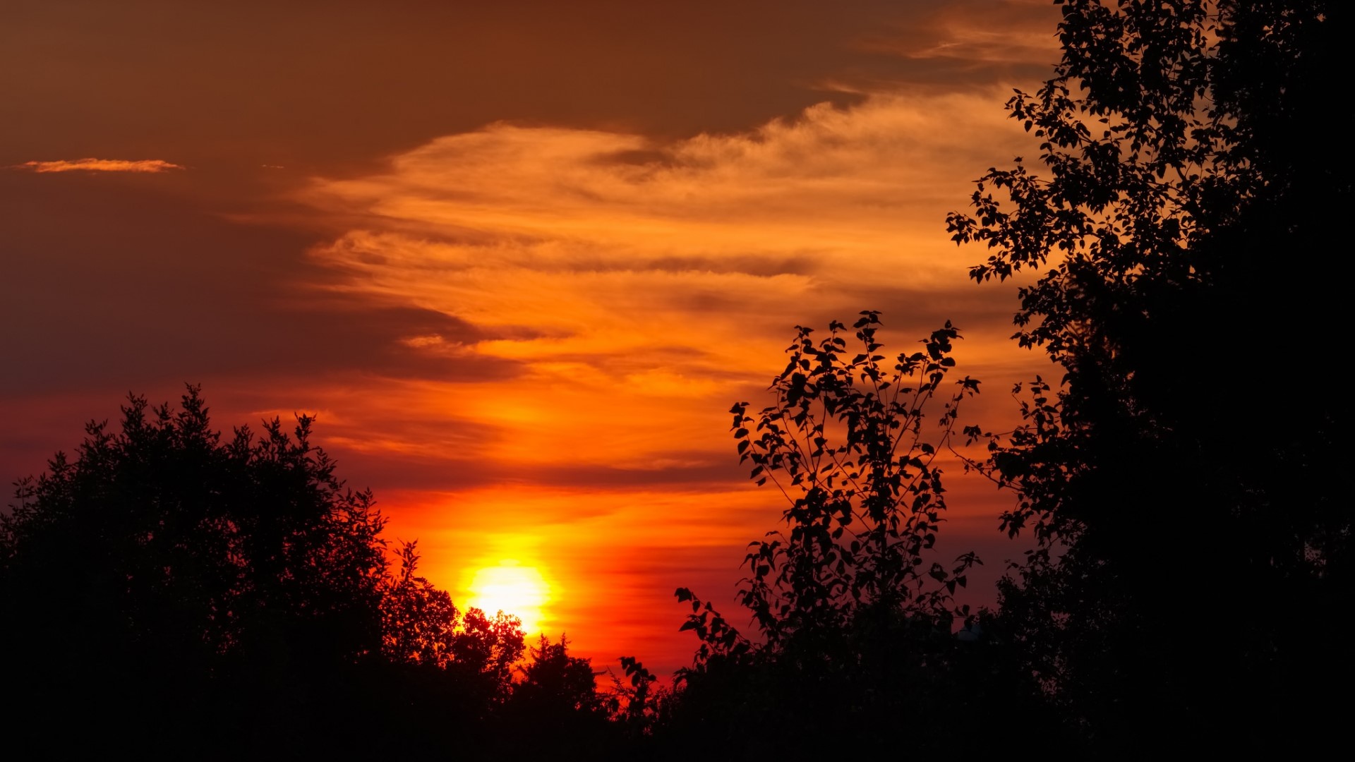 Sunset over trees HD Wallpaper