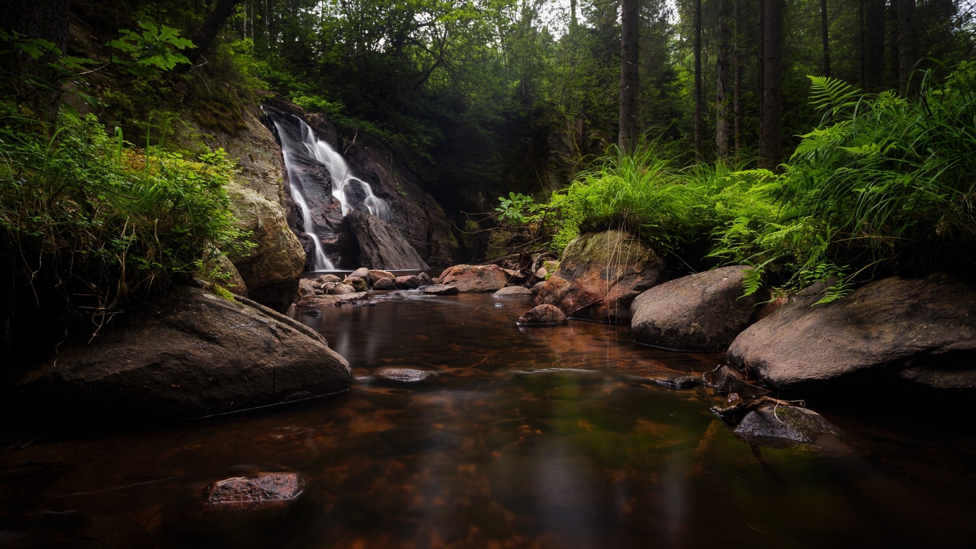 Waterfall in a forest HD Wallpaper