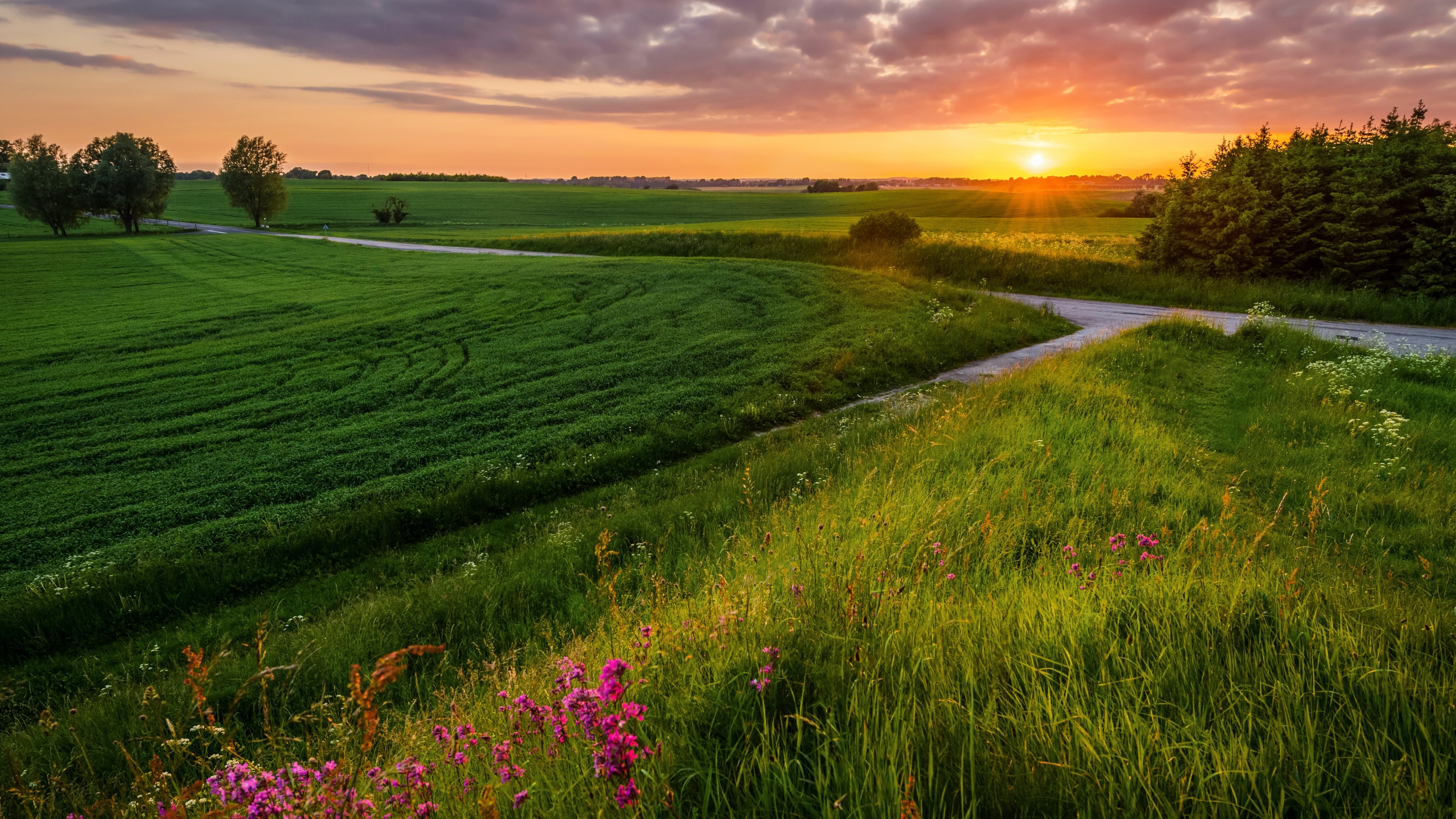 4K Sunset over Green Fields and Road HD Wallpaper