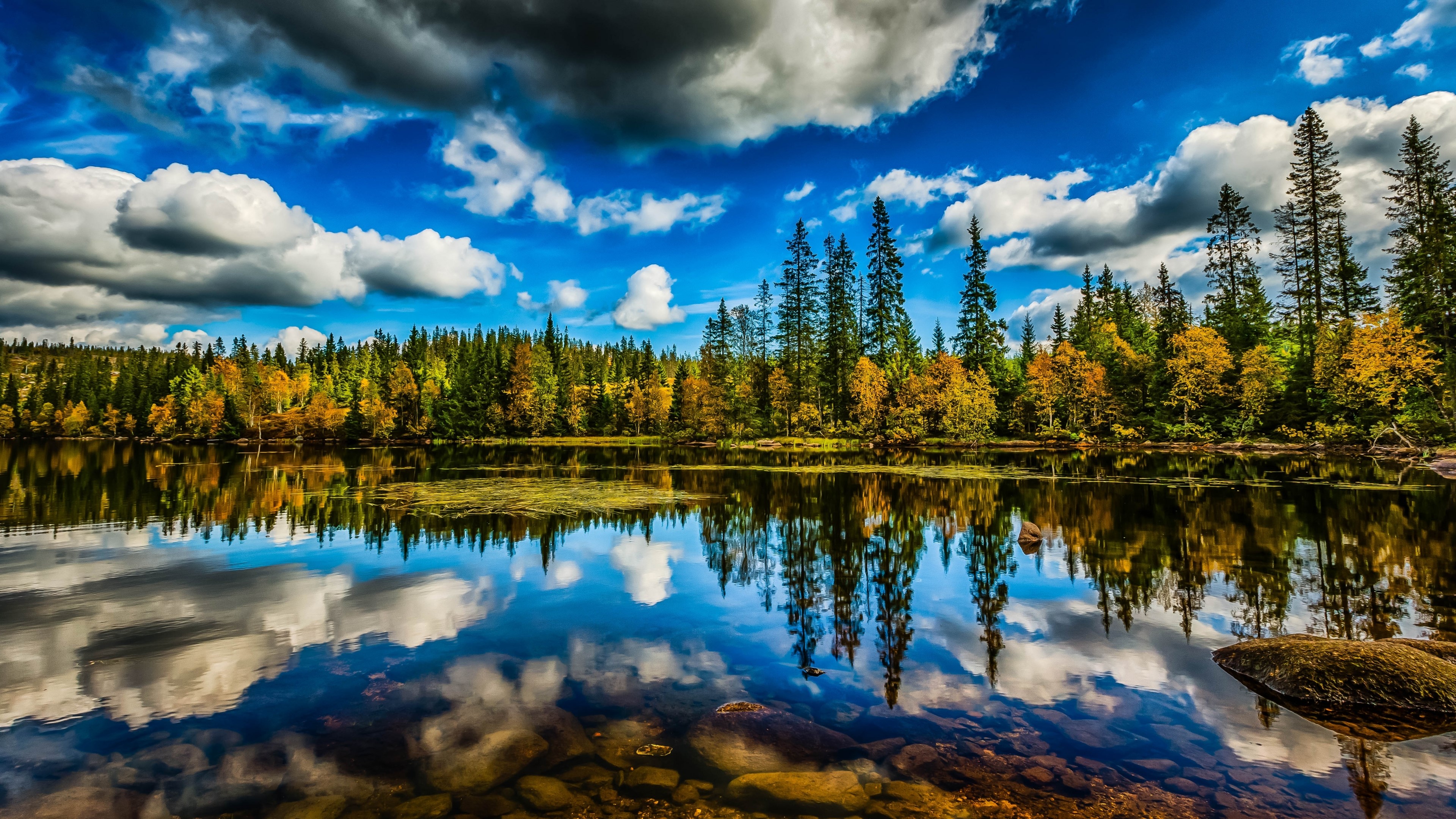 4K Nature Landscape with Lake and Forest HD Wallpaper