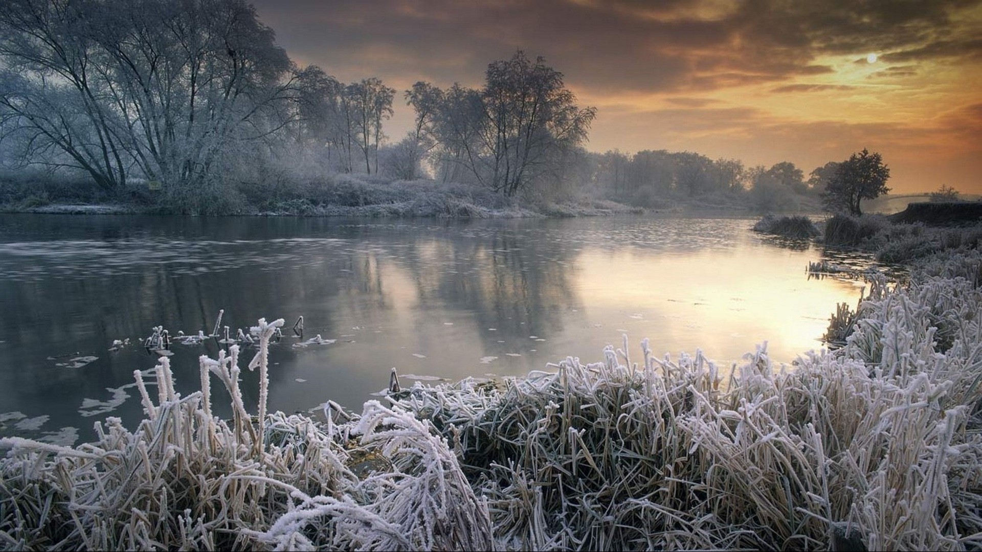 Frozen River and Trees at Sunrise HD Wallpaper