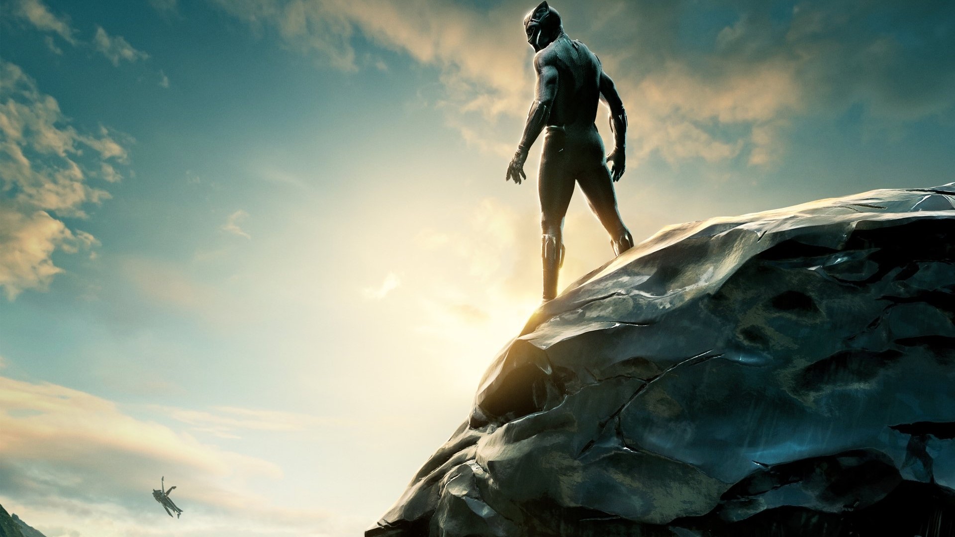 Black Panther standing on a rock HD Wallpaper