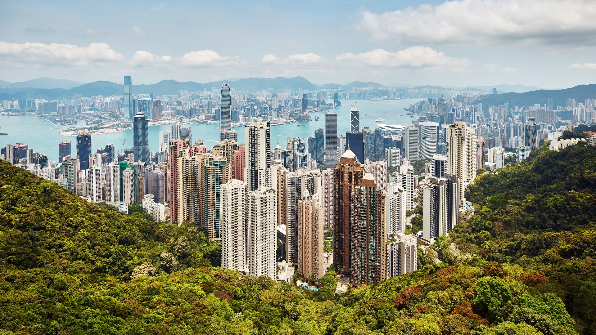 Victoria's View of Hong Kong Skyline HD Wallpaper