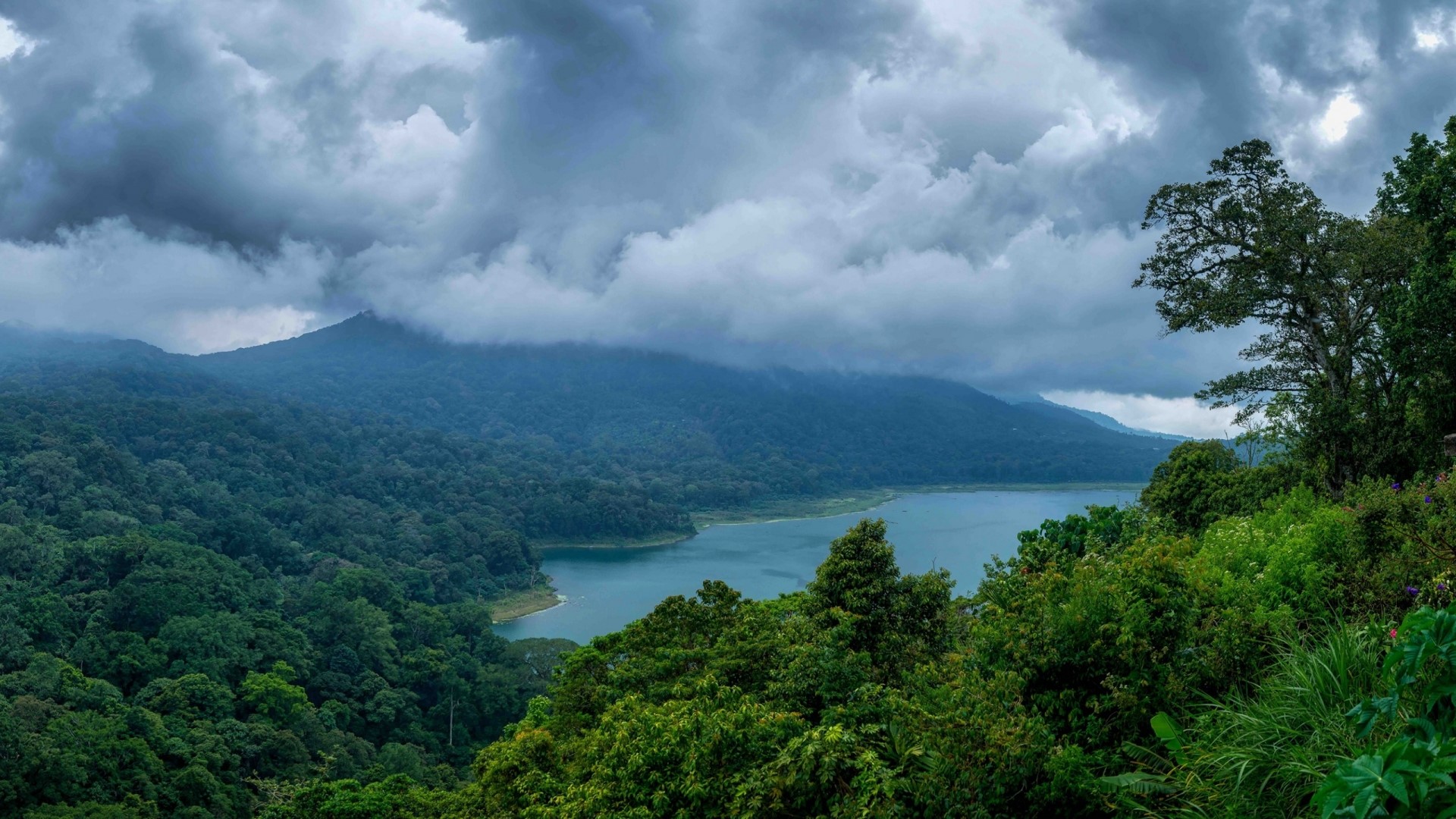 Misty Mountains and Tropical Lake HD Wallpaper