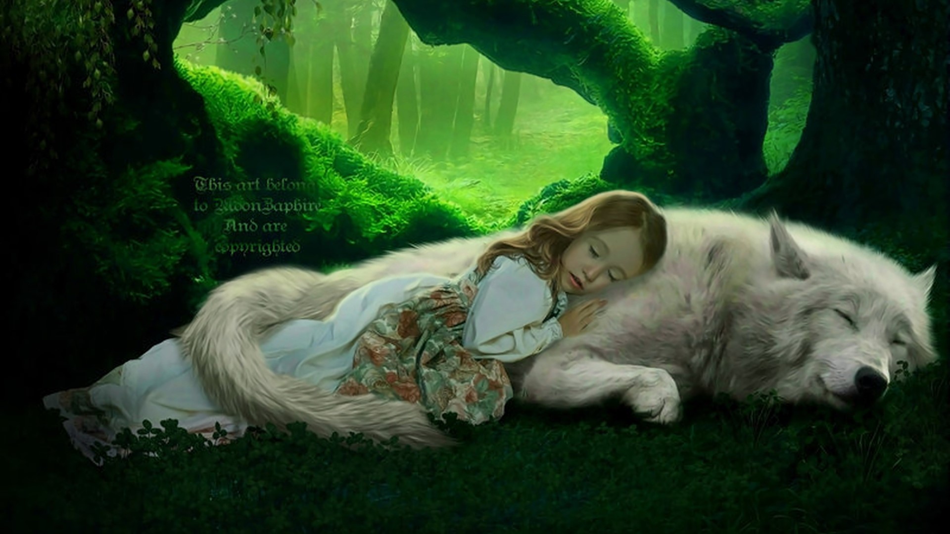 Magical Sleep in a Forest HD Wallpaper