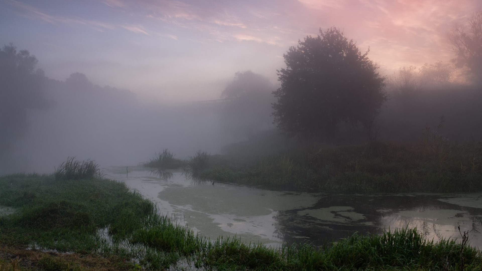 Misty river at sunrise with pink sky HD Wallpaper