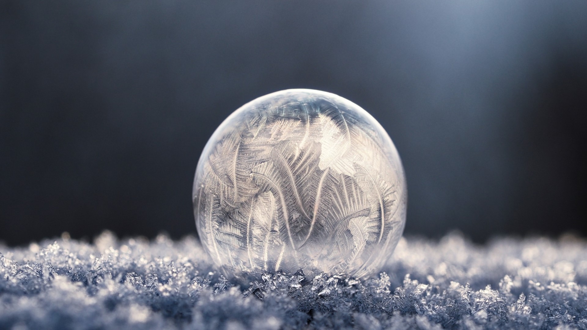 Frozen bubble on frost HD Wallpaper