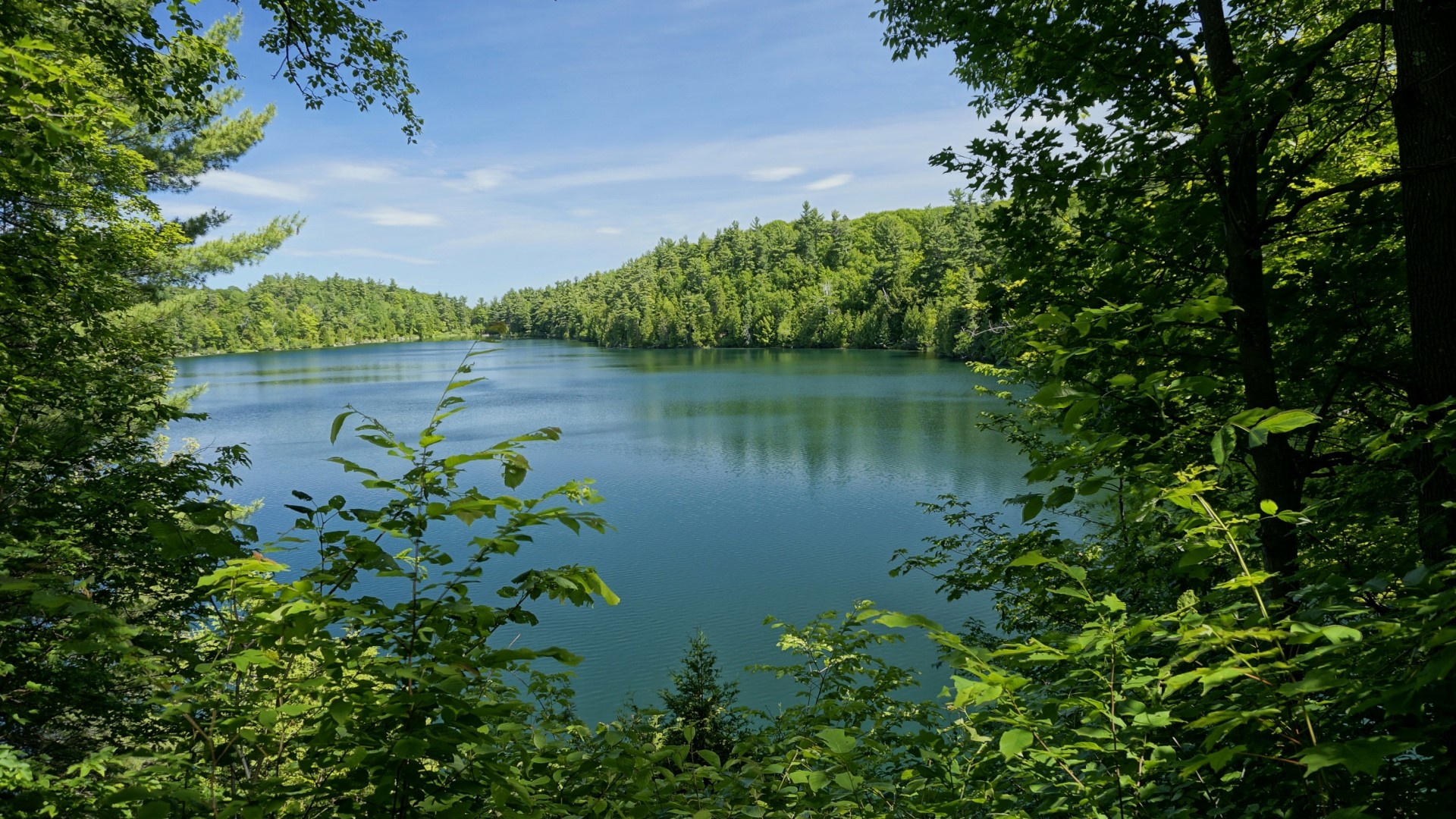 Lake surrounded by green forest under a blue sky HD Wallpaper